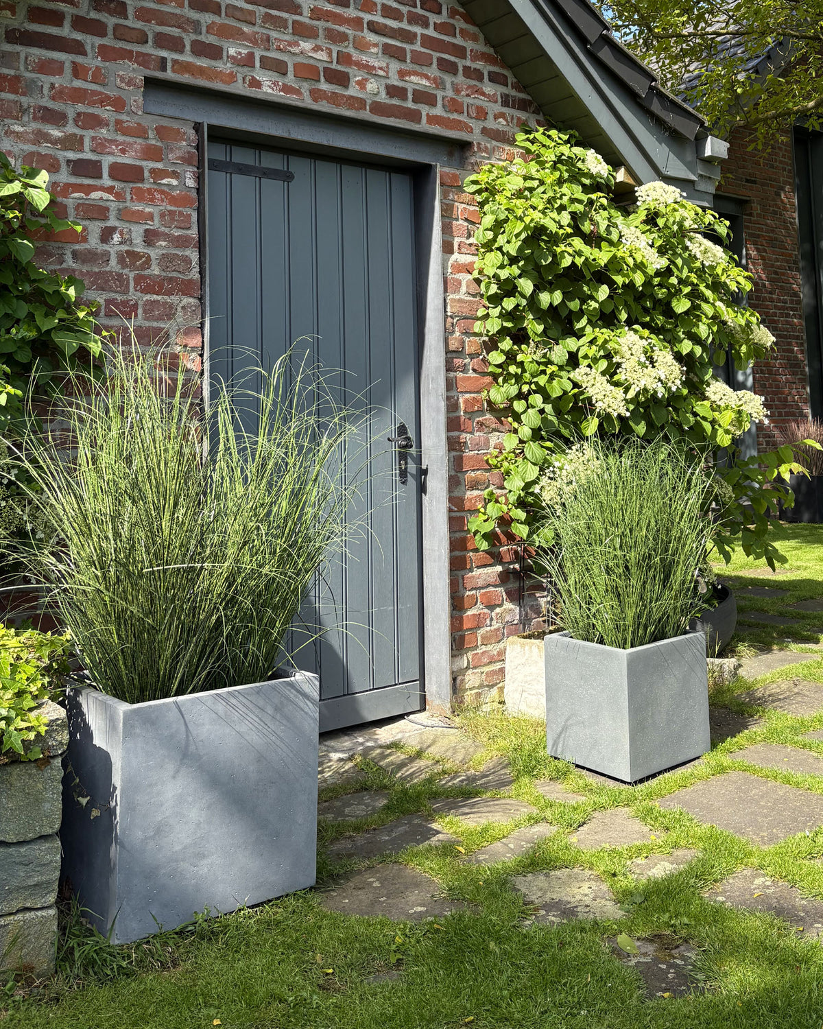 Basalo Pflanzwürfel