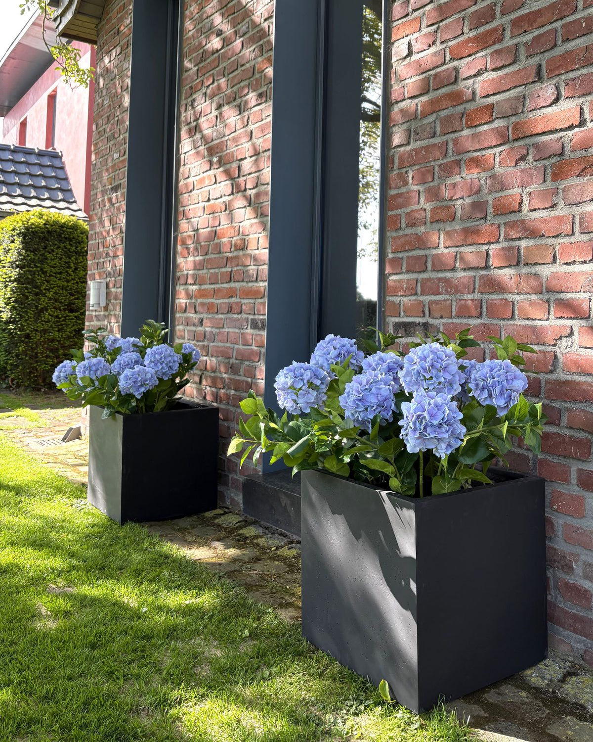 Basalo Pflanzwürfel