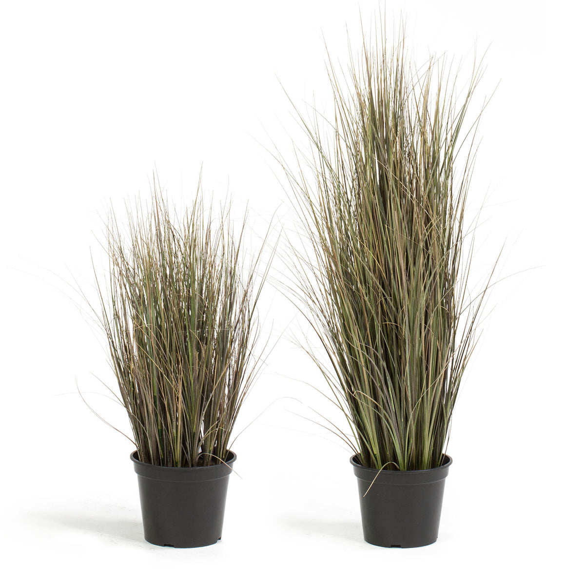 Zwiebelgras Kunstpflanze