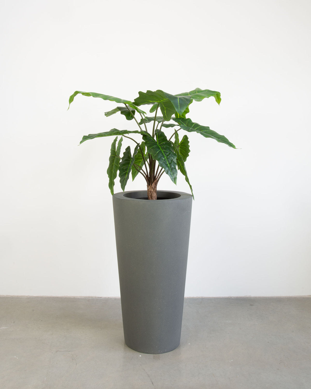 Basalo Conical Set mit Pfeilblatt