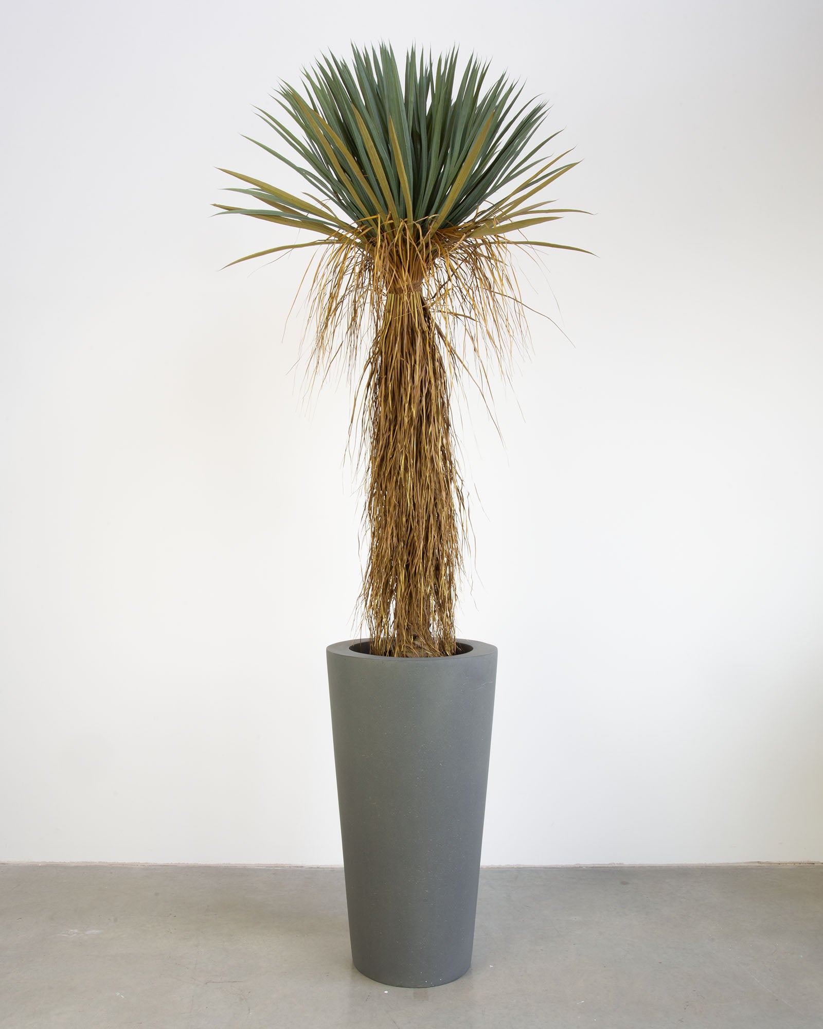 Basalo Conical Set mit Yucca Palmlilie