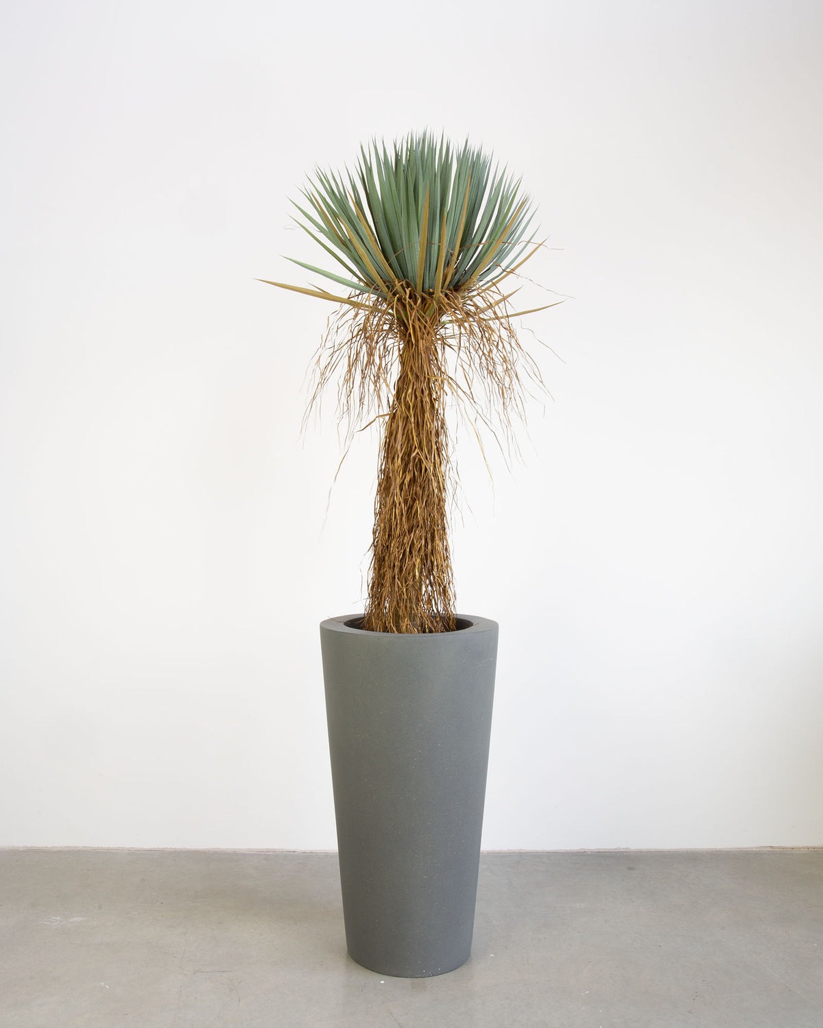 Basalo Conical Set mit Yucca Palmlilie