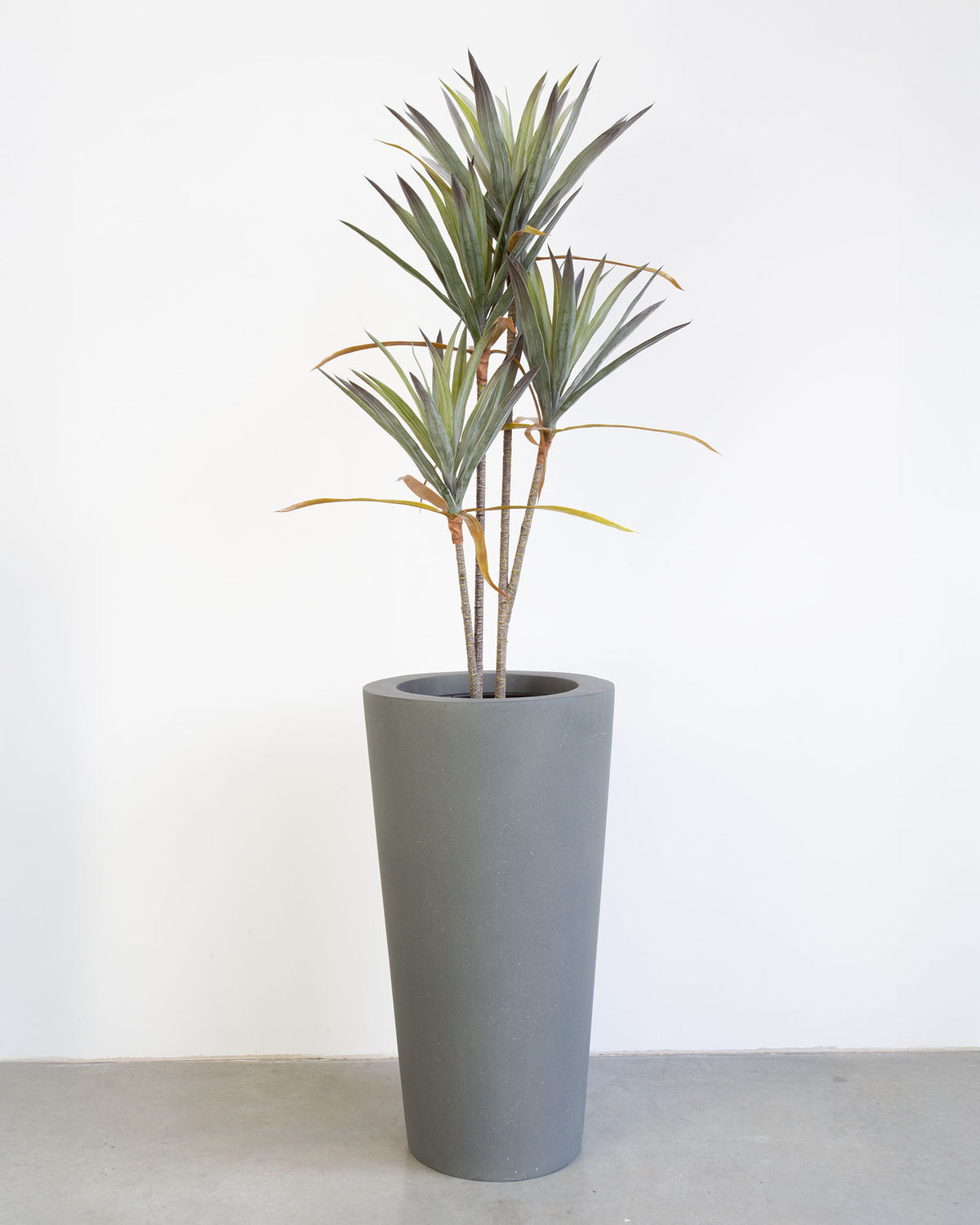 Basalo Conical Set mit Yucca - Palmlilie