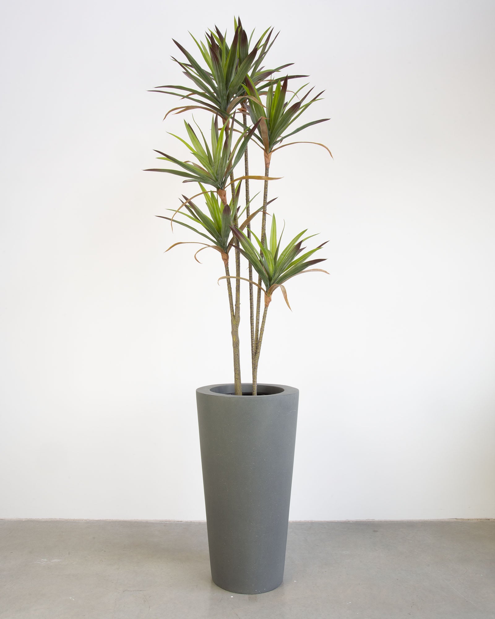 Basalo Conical Set mit Yucca - Palmlilie