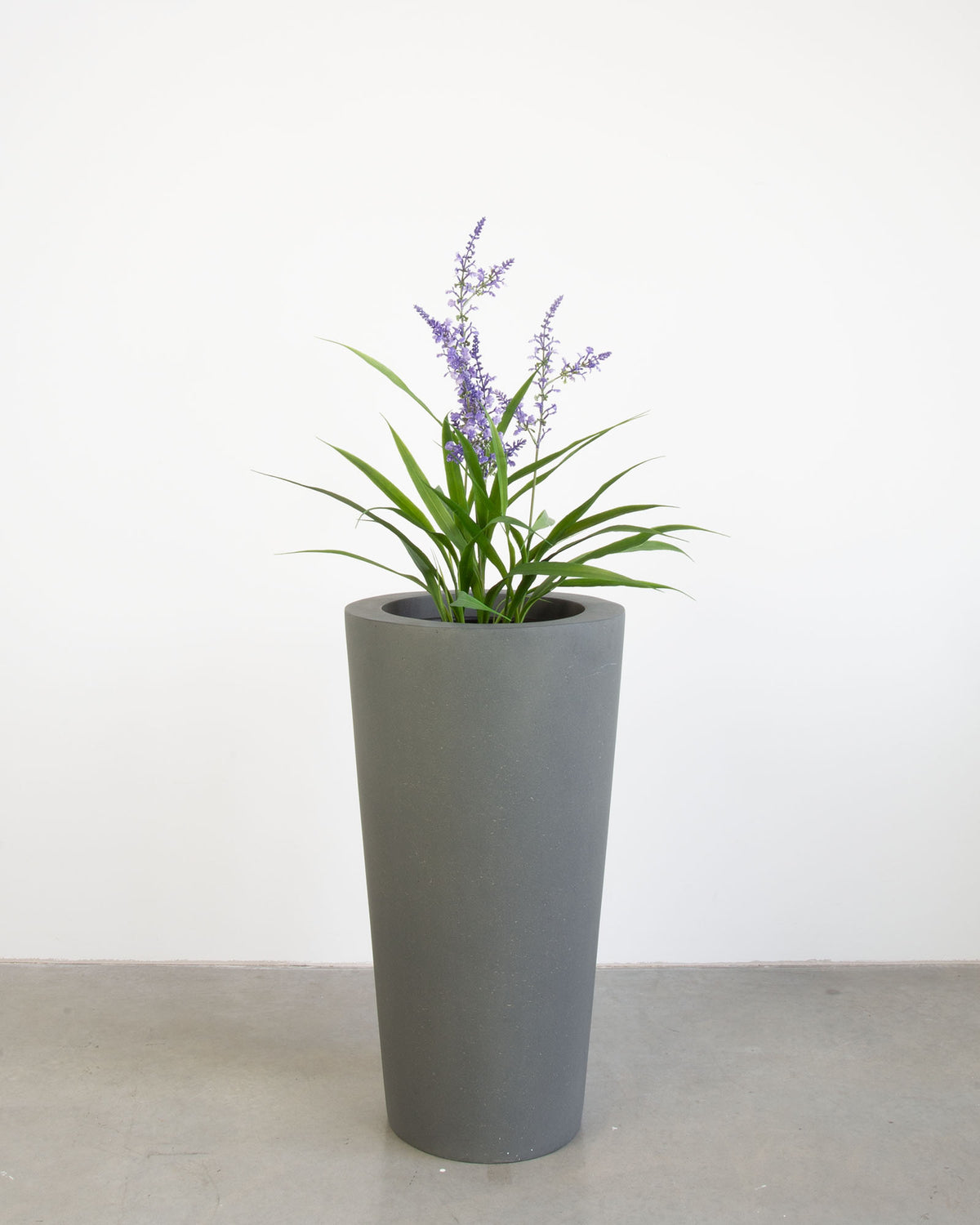 Basalo Conical Set mit Lavendel