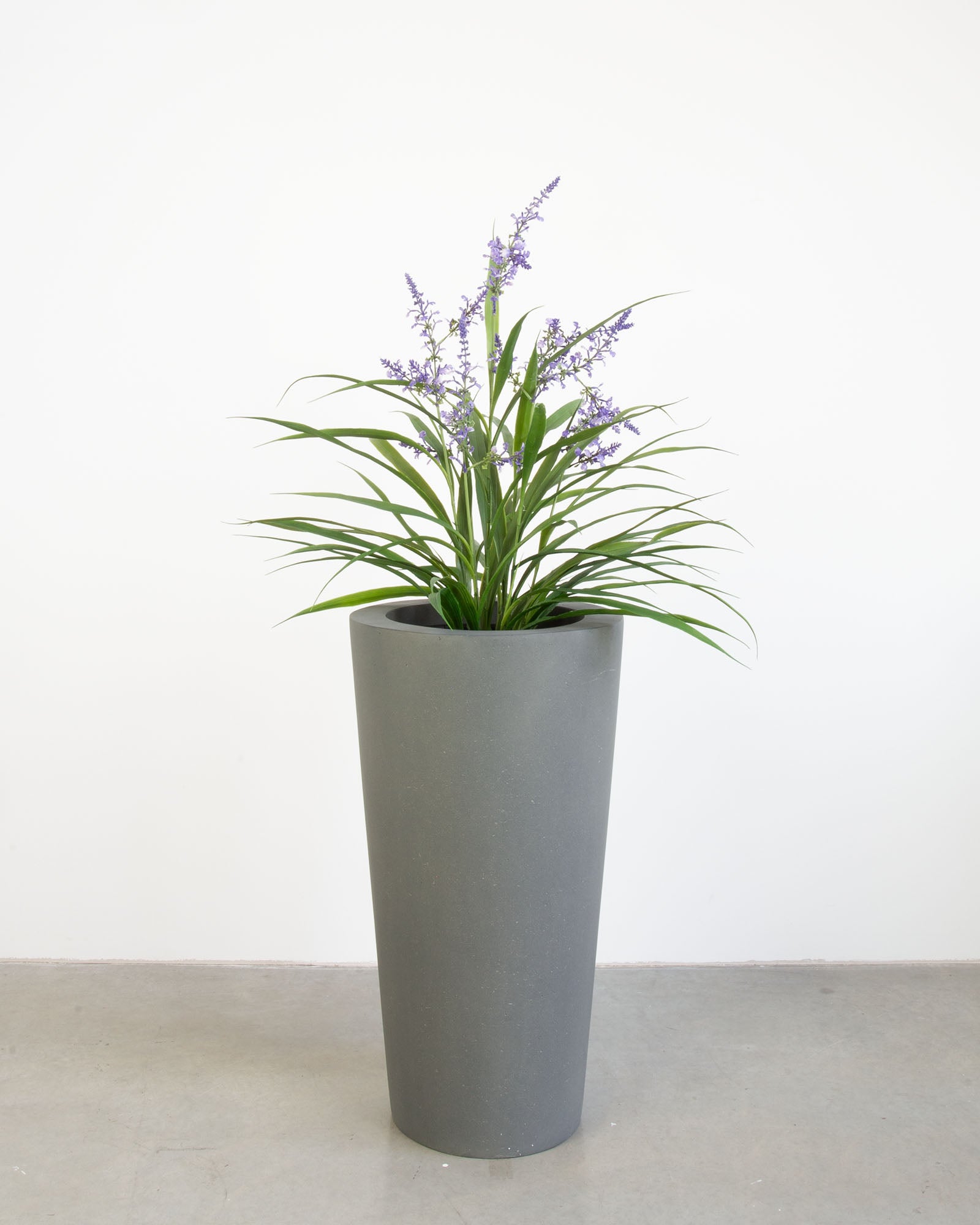Basalo Conical Set mit Lavendel
