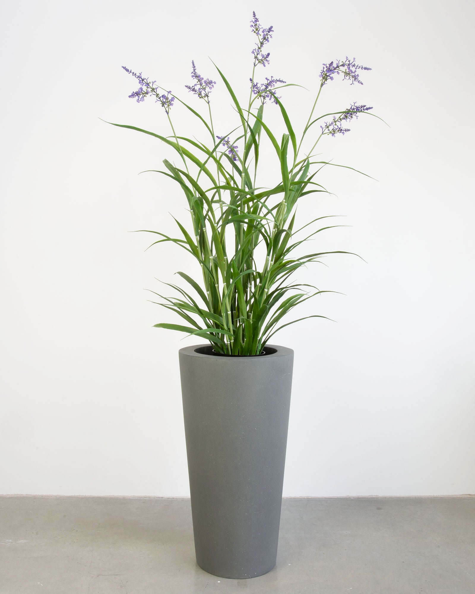 Basalo Conical Set mit Lavendel