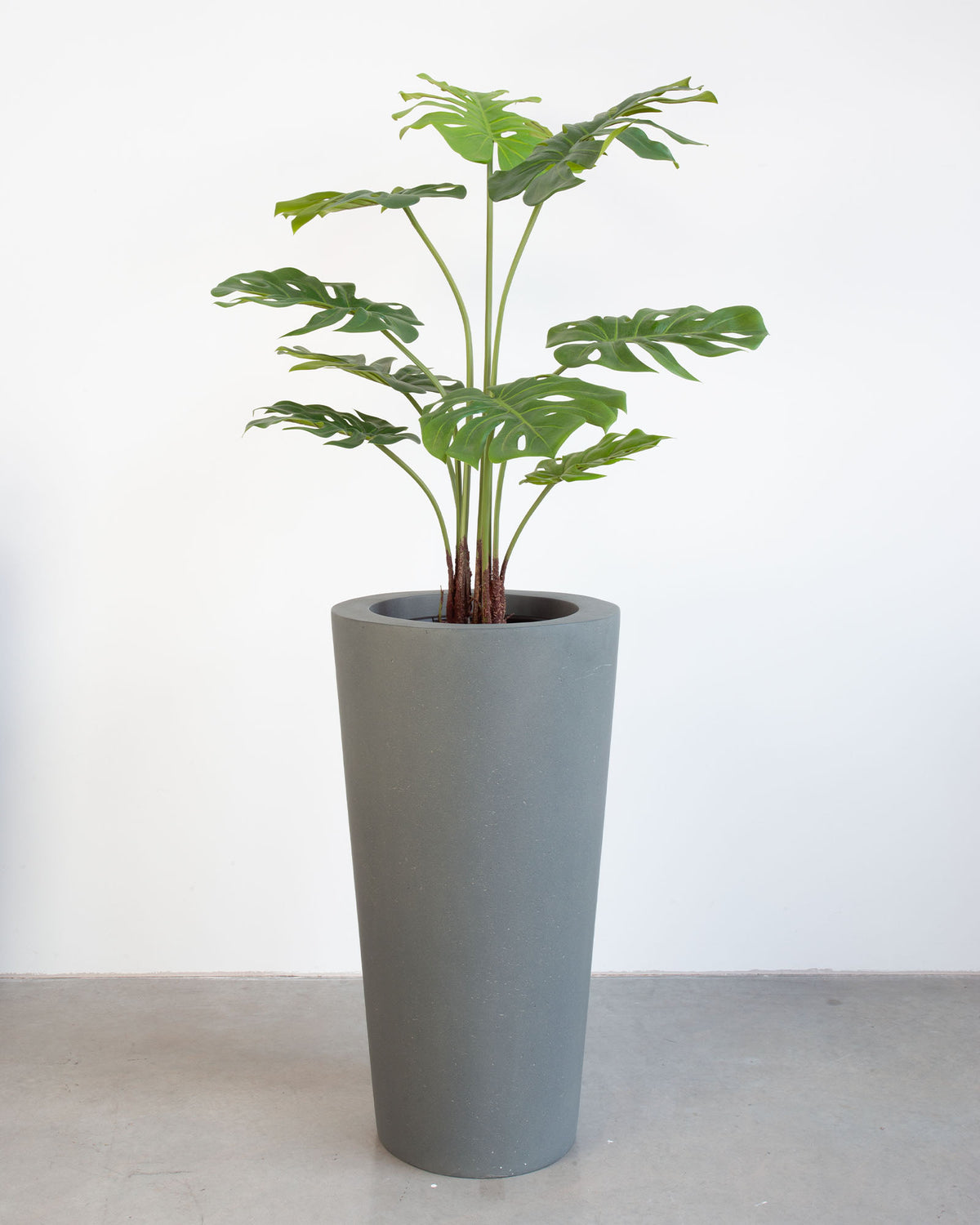 Basalo Conical Set mit Monstera