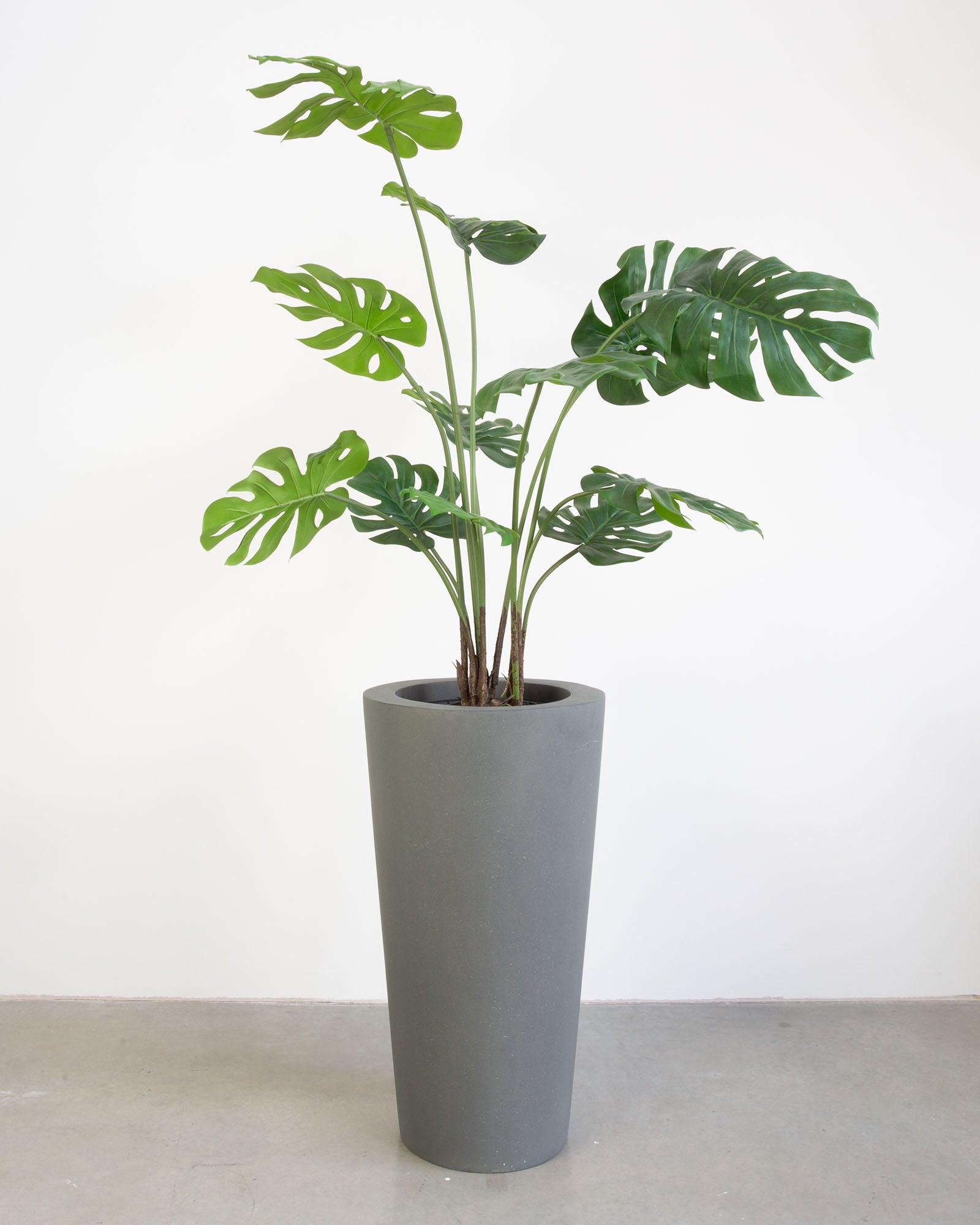 Basalo Conical Set mit Monstera