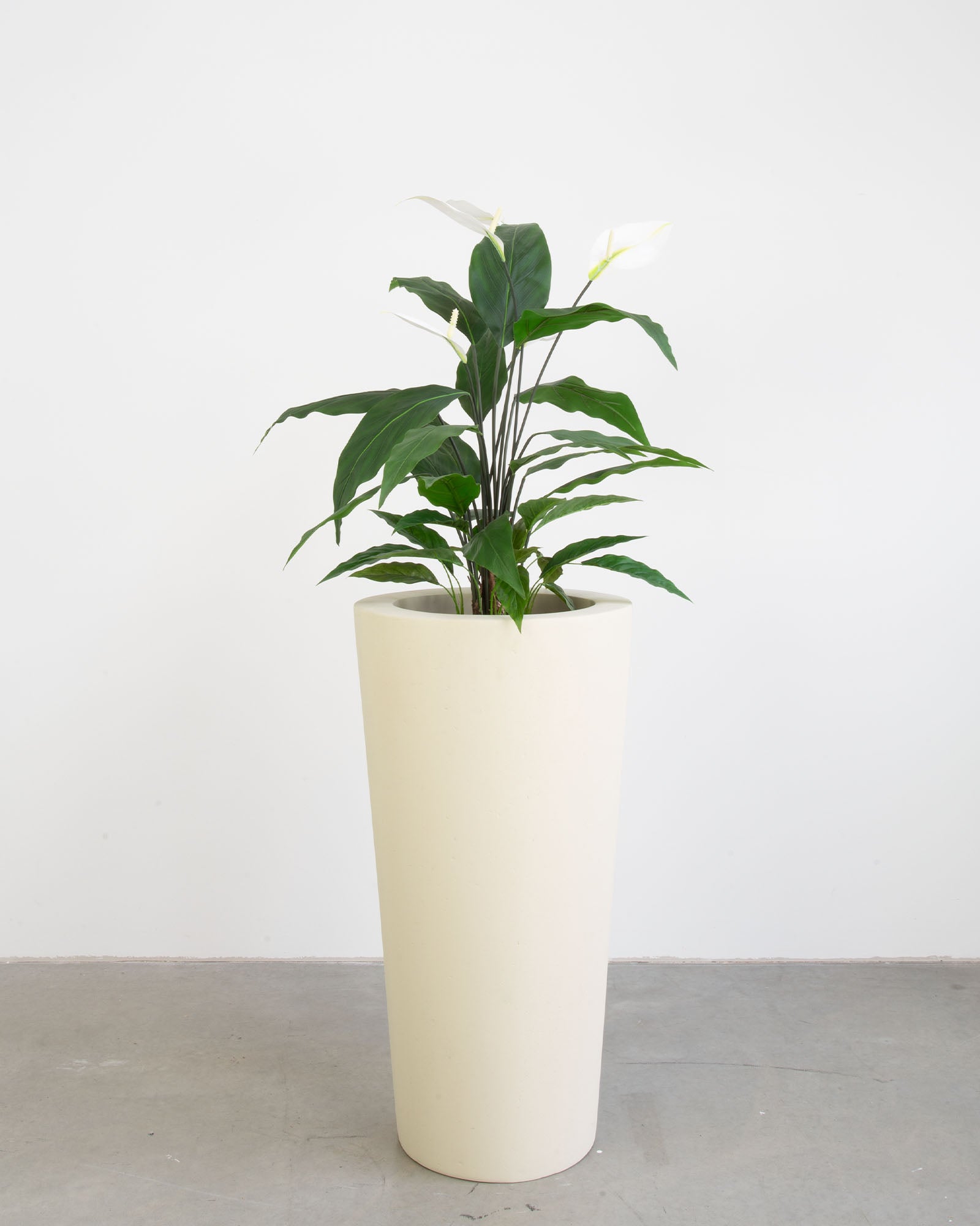 Basalo Conical Set mit Einblatt