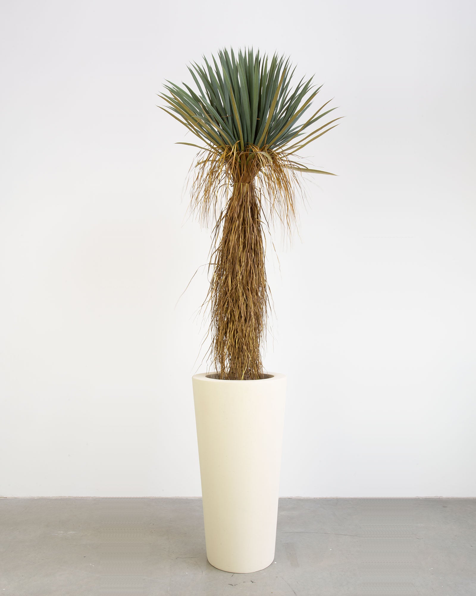 Basalo Conical Set mit Yucca Palmlilie