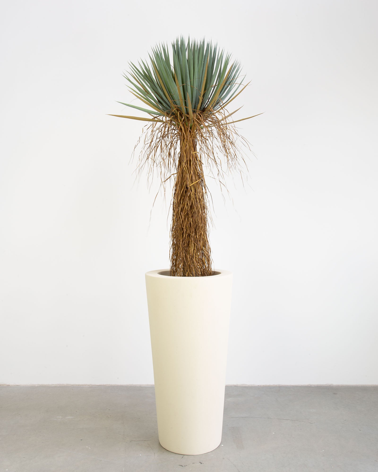 Basalo Conical Set mit Yucca Palmlilie