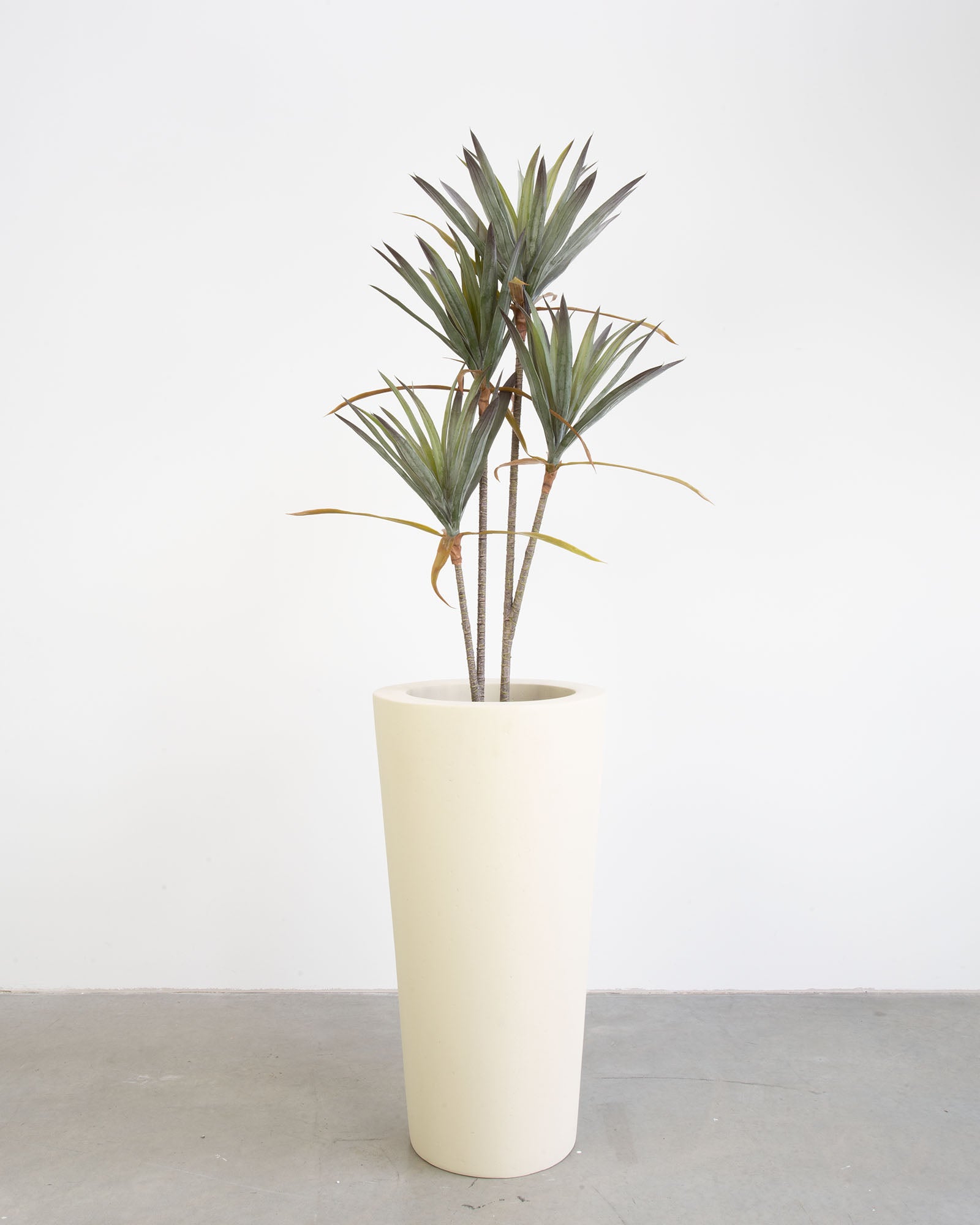 Basalo Conical Set mit Yucca - Palmlilie