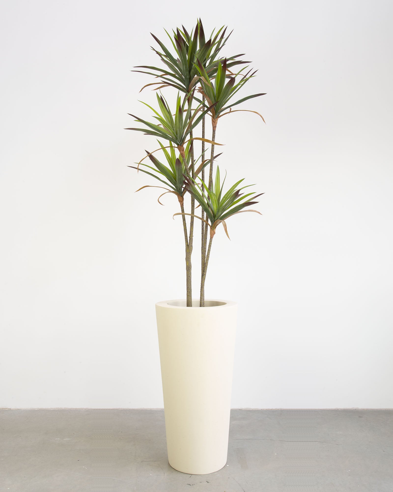 Basalo Conical Set mit Yucca - Palmlilie