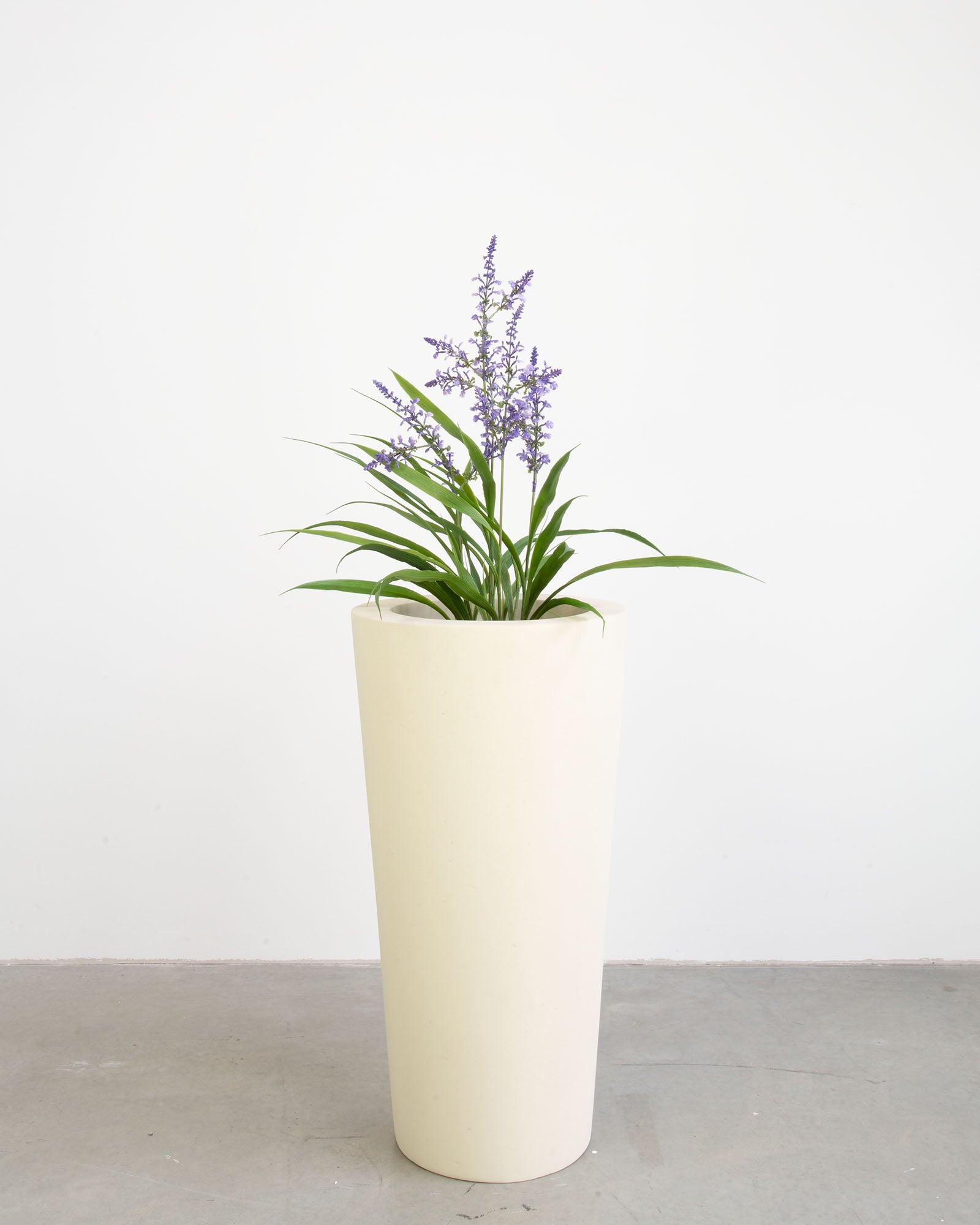Basalo Conical Set mit Lavendel