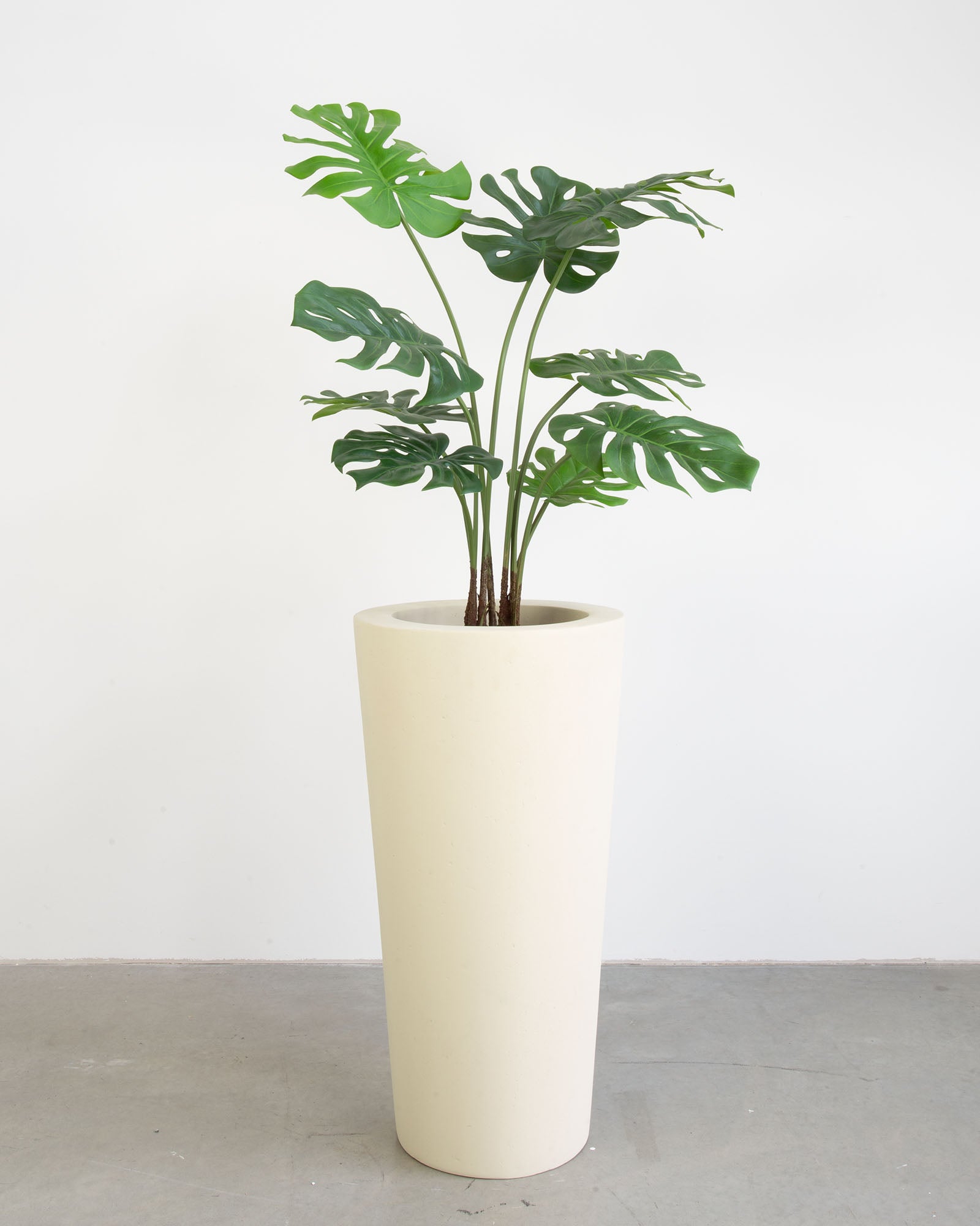 Basalo Conical Set mit Monstera