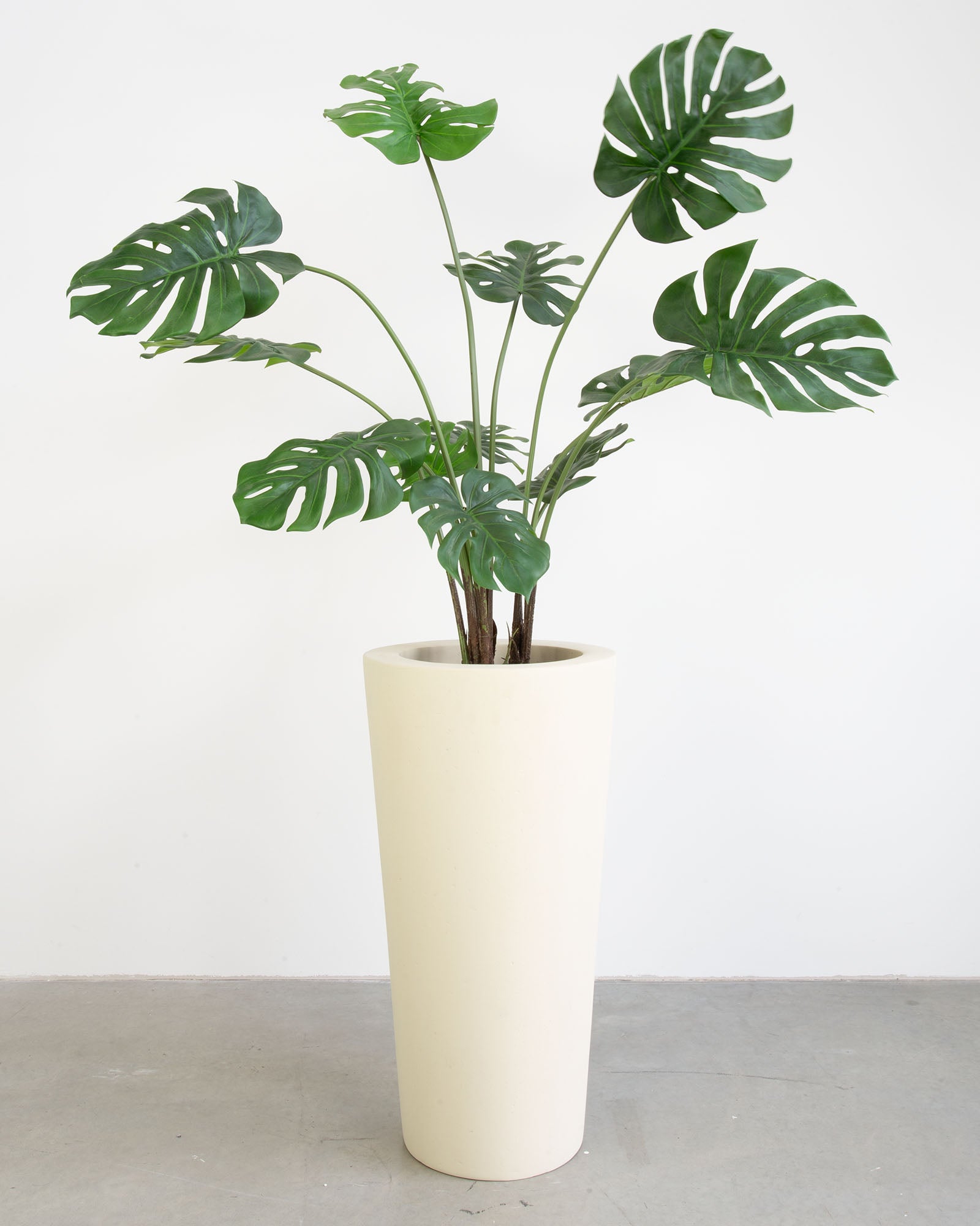 Basalo Conical Set mit Monstera