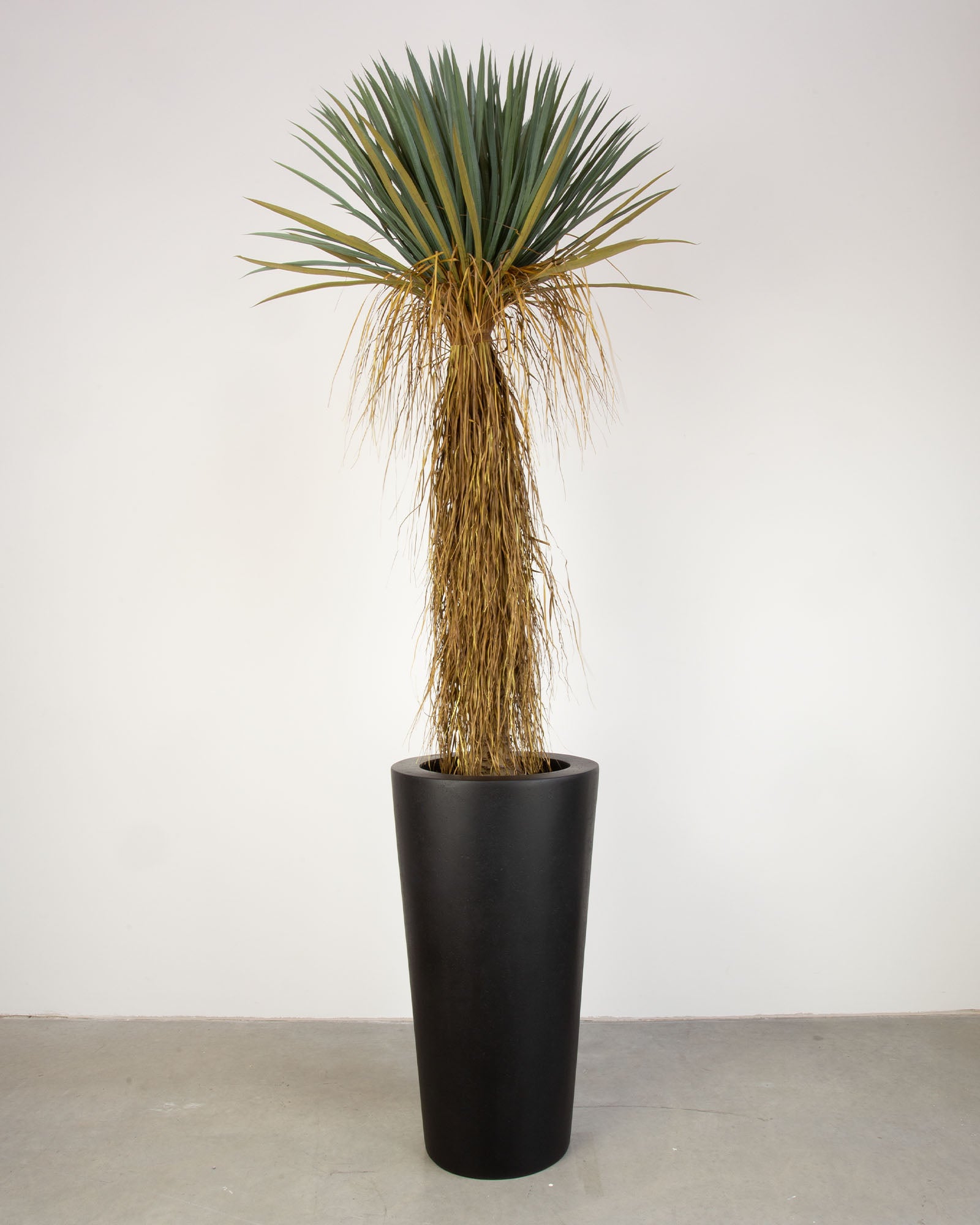 Basalo Conical Set mit Yucca Palmlilie