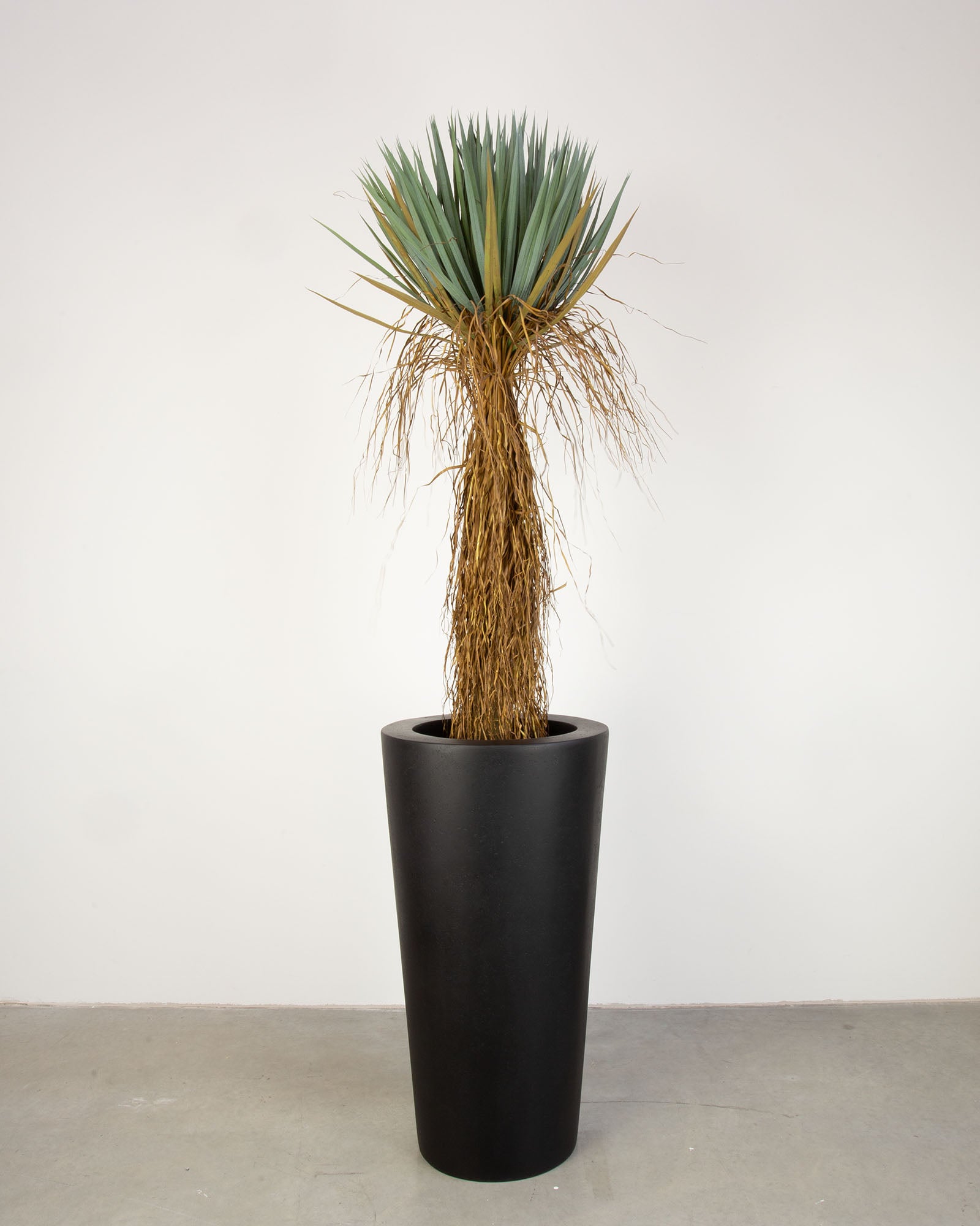 Basalo Conical Set mit Yucca Palmlilie