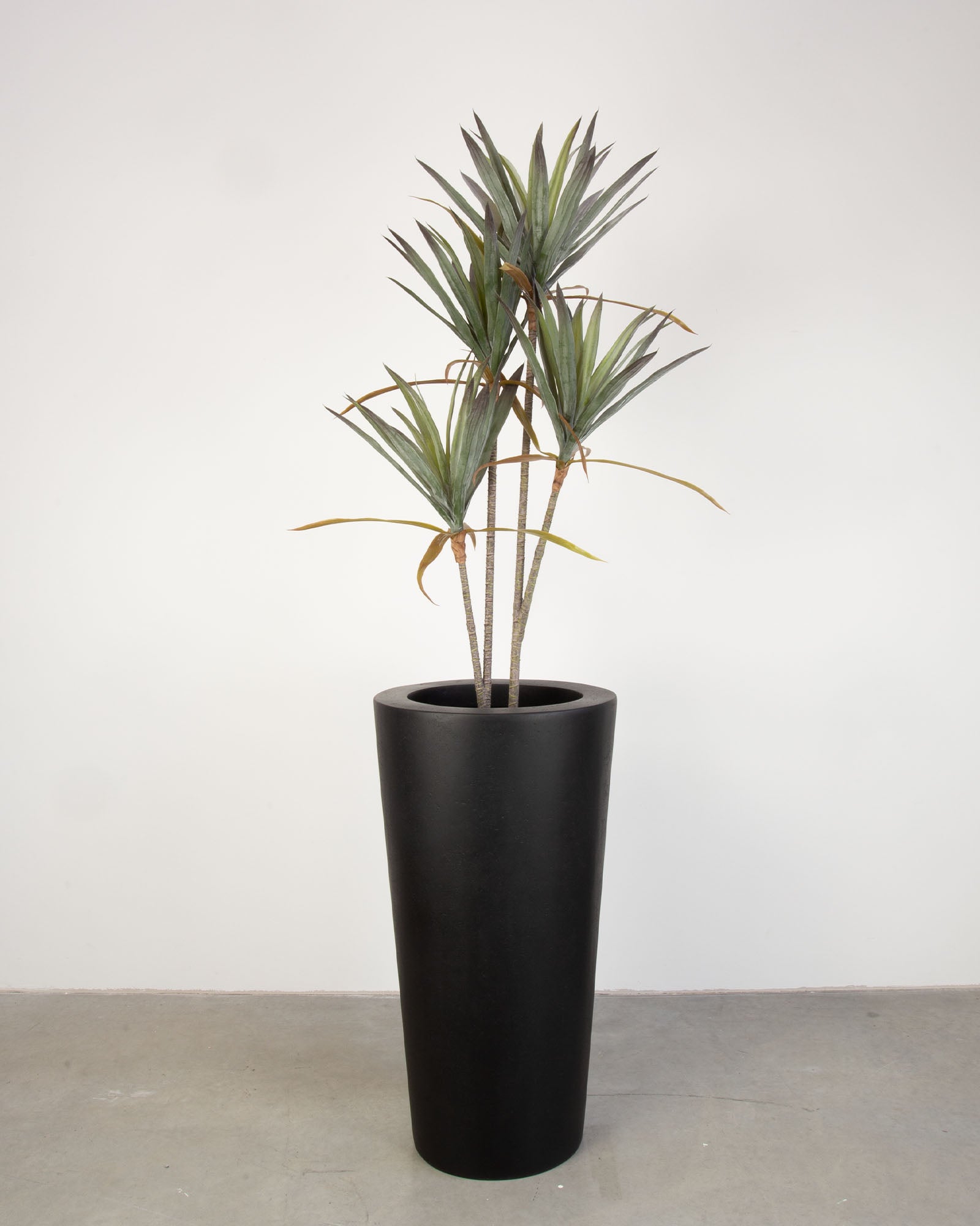 Basalo Conical Set mit Yucca - Palmlilie