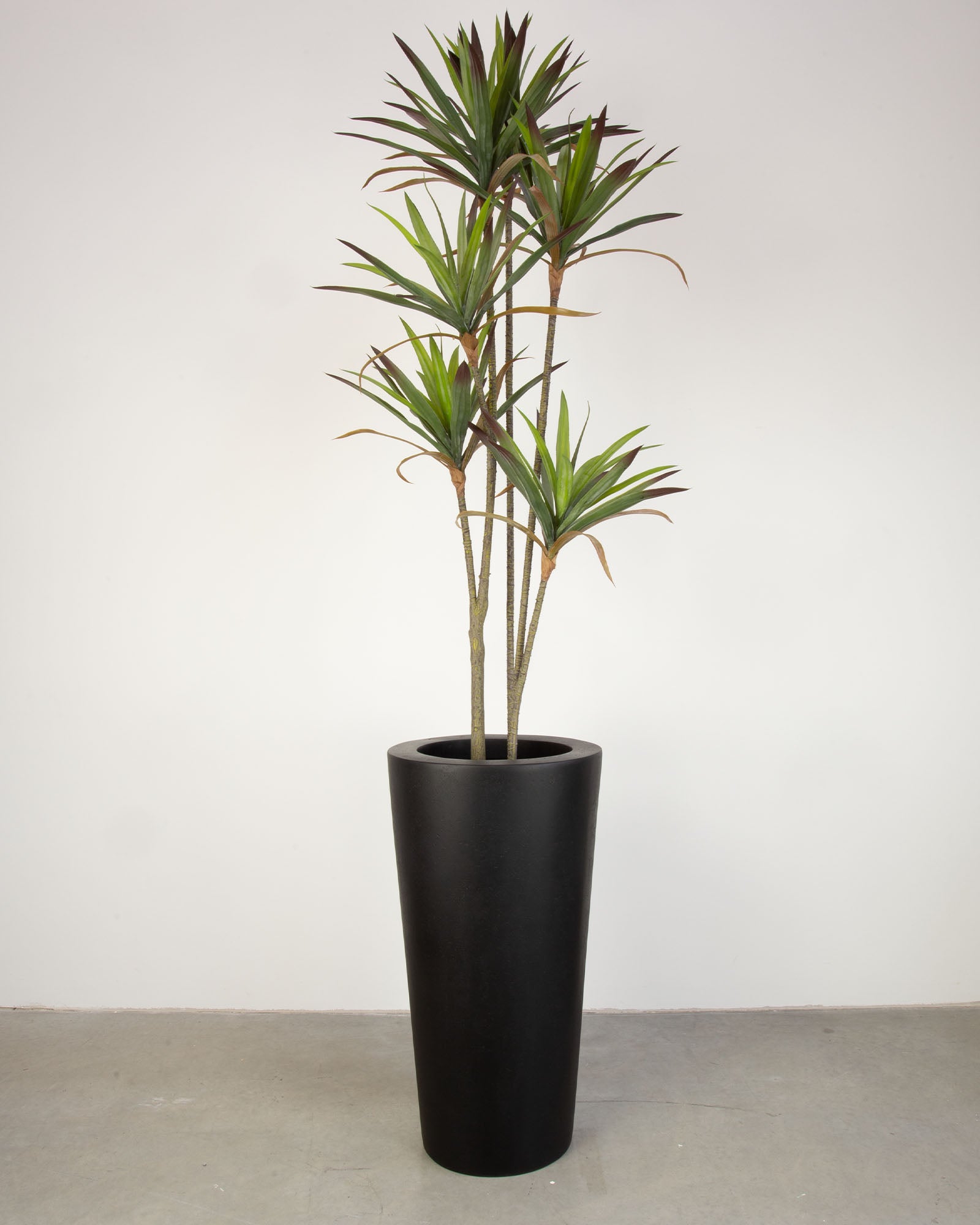 Basalo Conical Set mit Yucca - Palmlilie