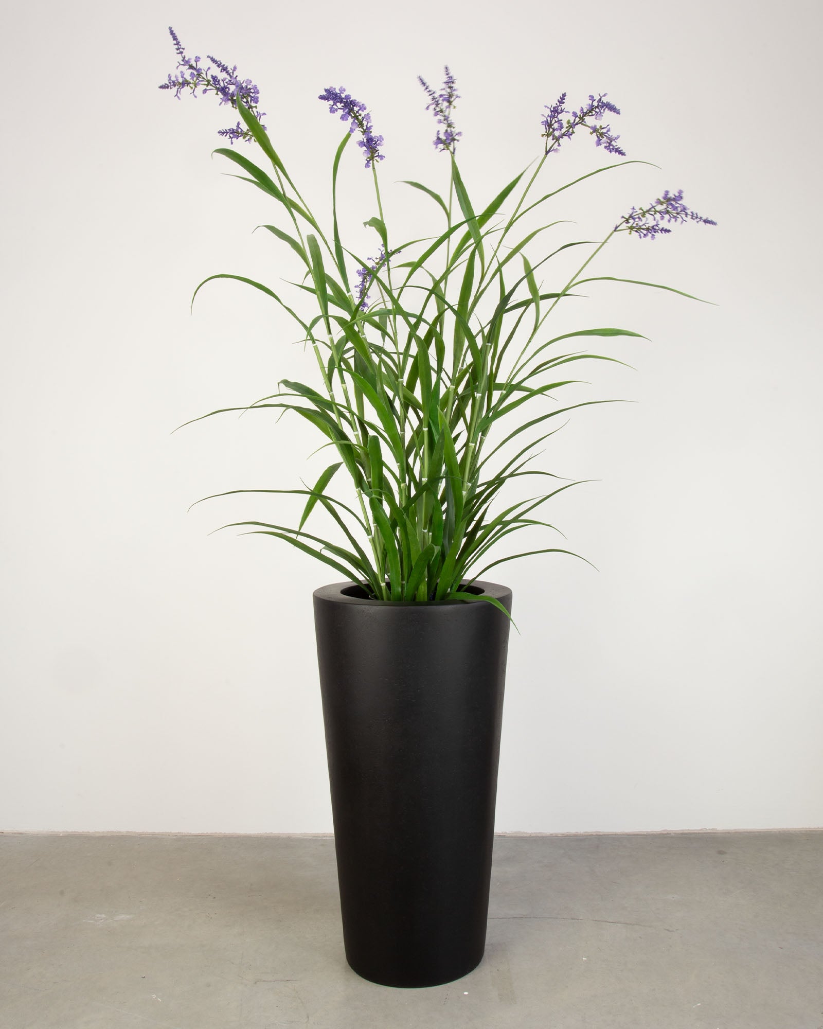 Basalo Conical Set mit Lavendel