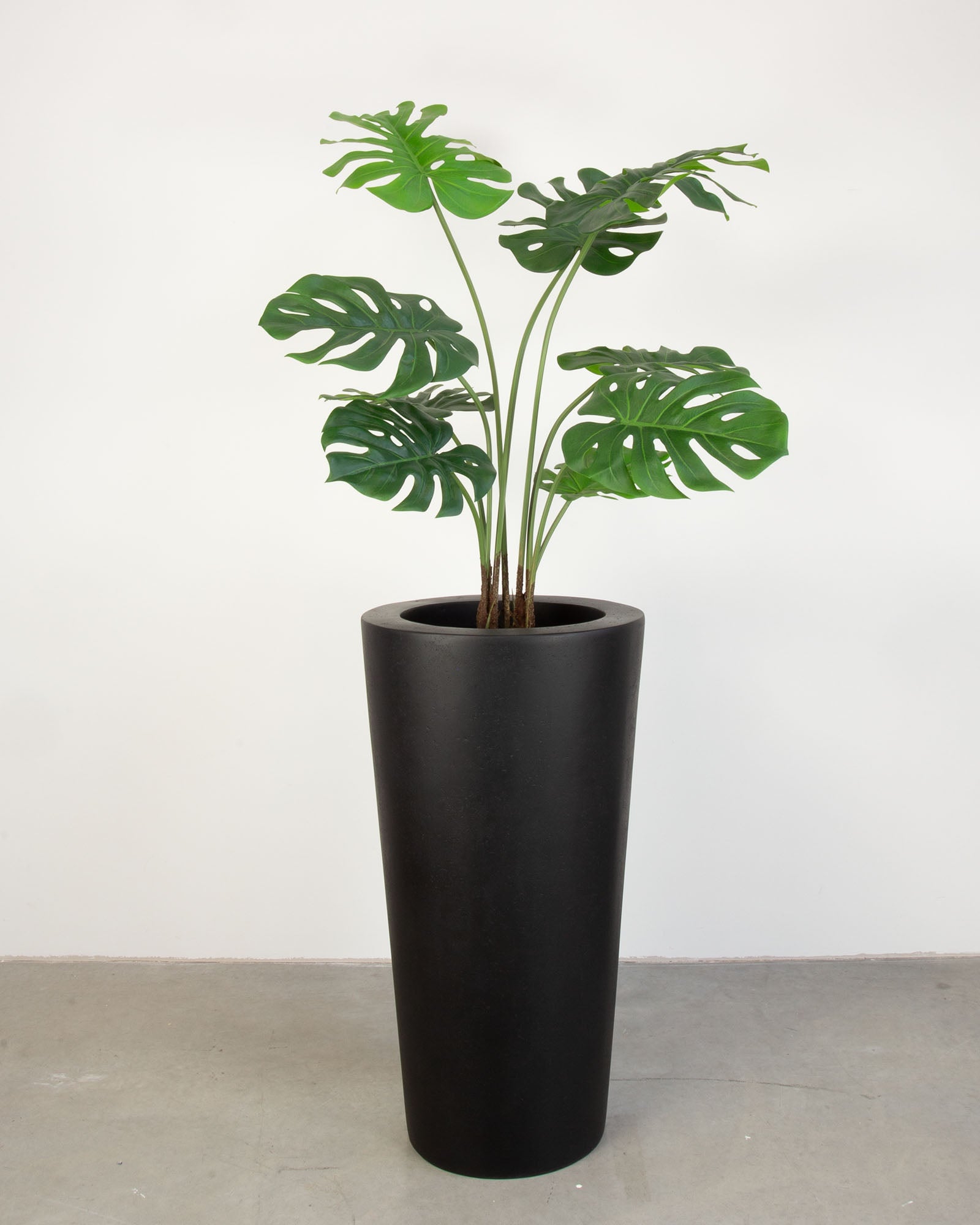 Basalo Conical Set mit Monstera