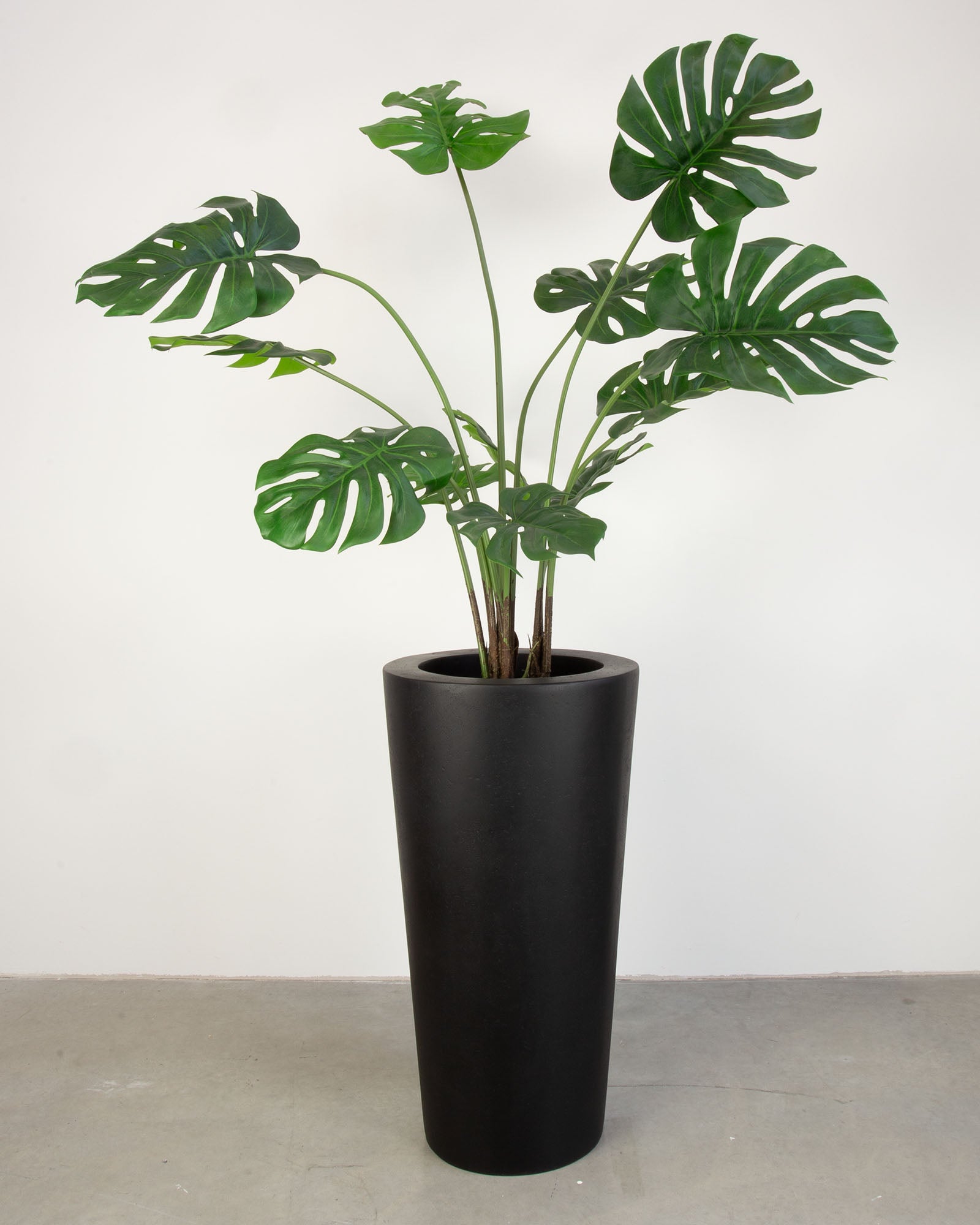 Basalo Conical Set mit Monstera