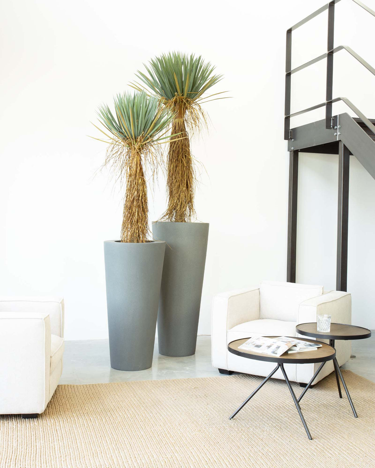 Basalo Conical Set mit Yucca Palmlilie