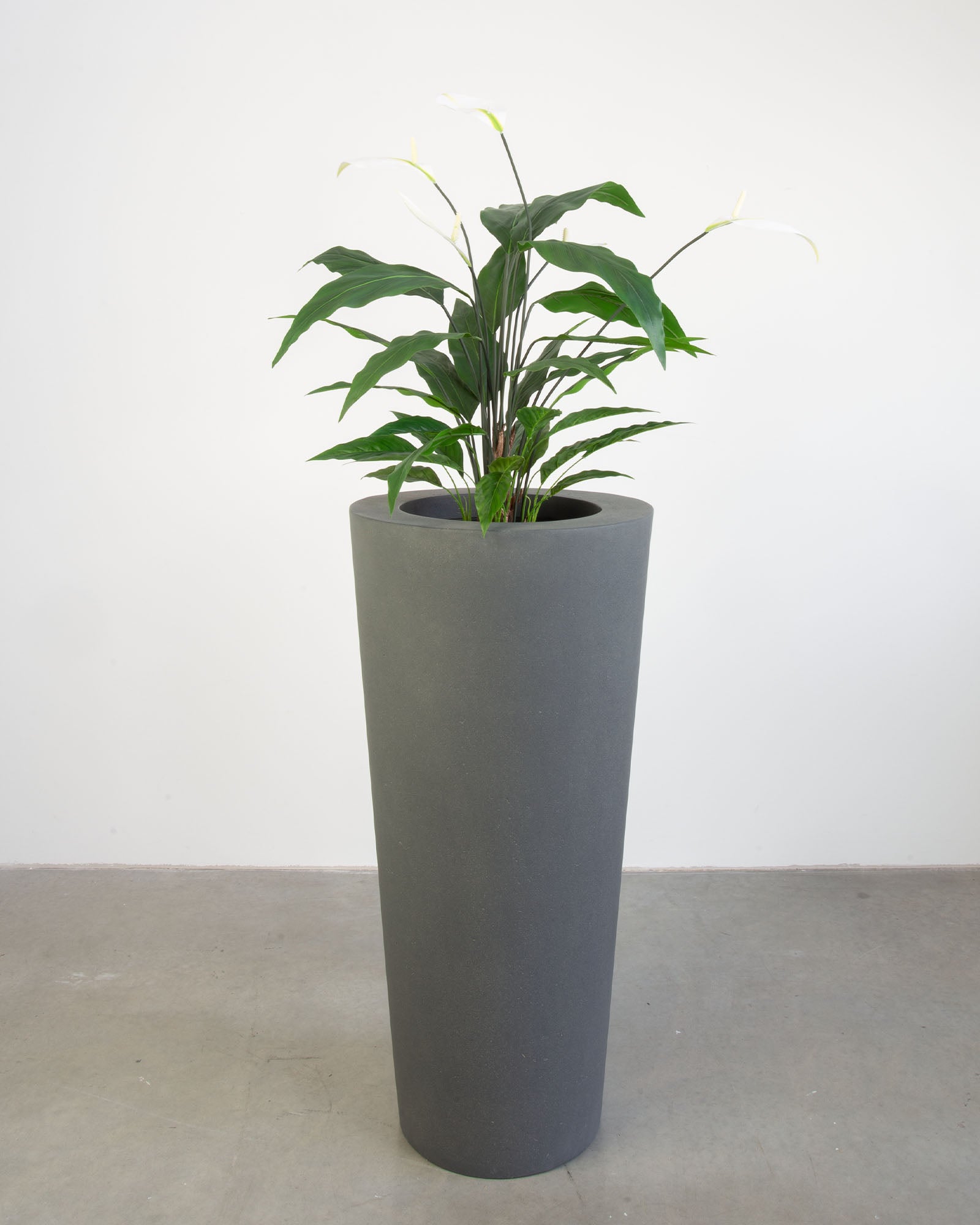 Basalo Conical Set mit Einblatt