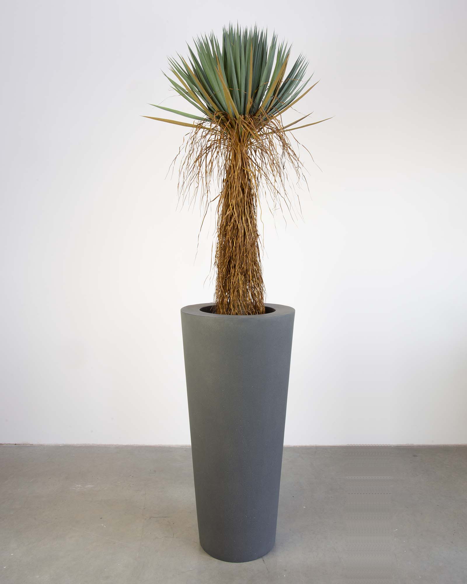 Basalo Conical Set mit Yucca Palmlilie