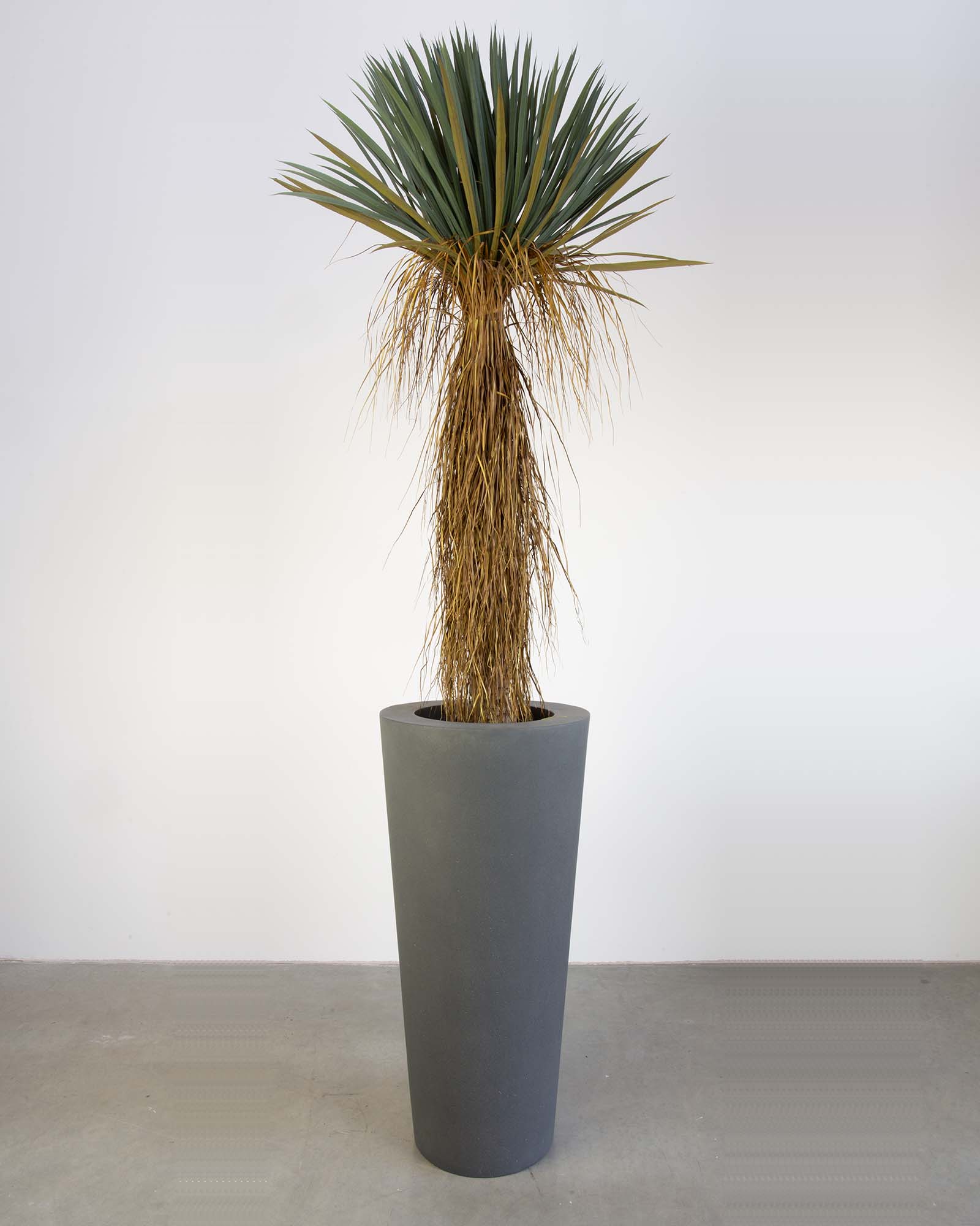 Basalo Conical Set mit Yucca Palmlilie