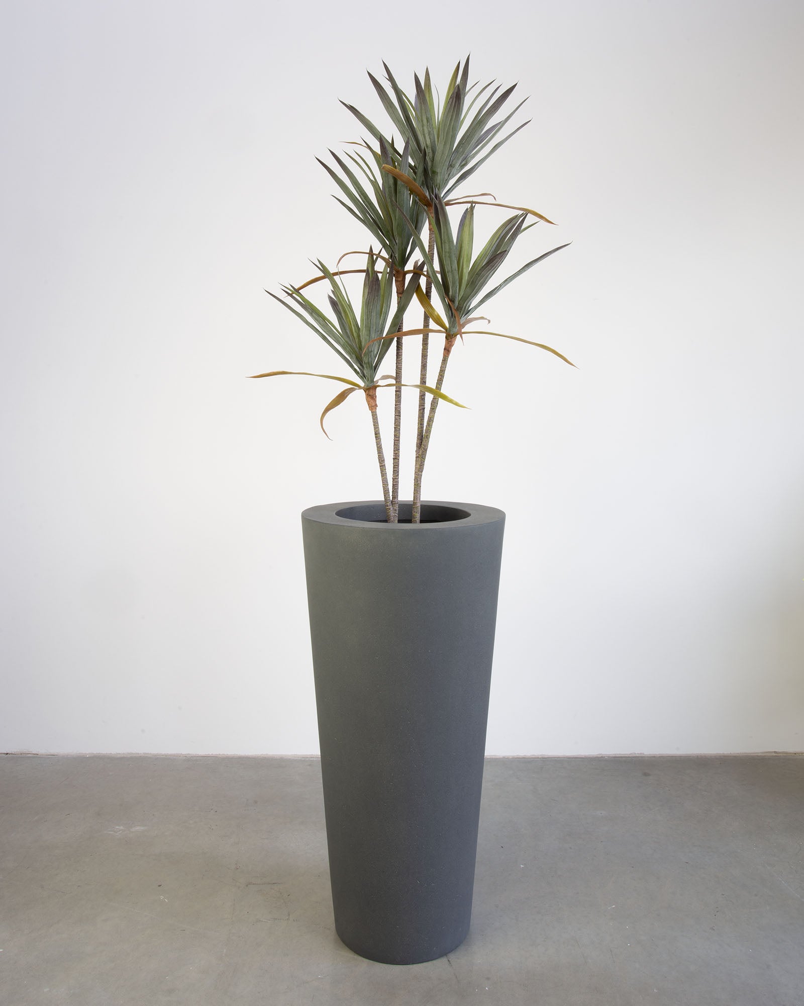 Basalo Conical Set mit Yucca - Palmlilie