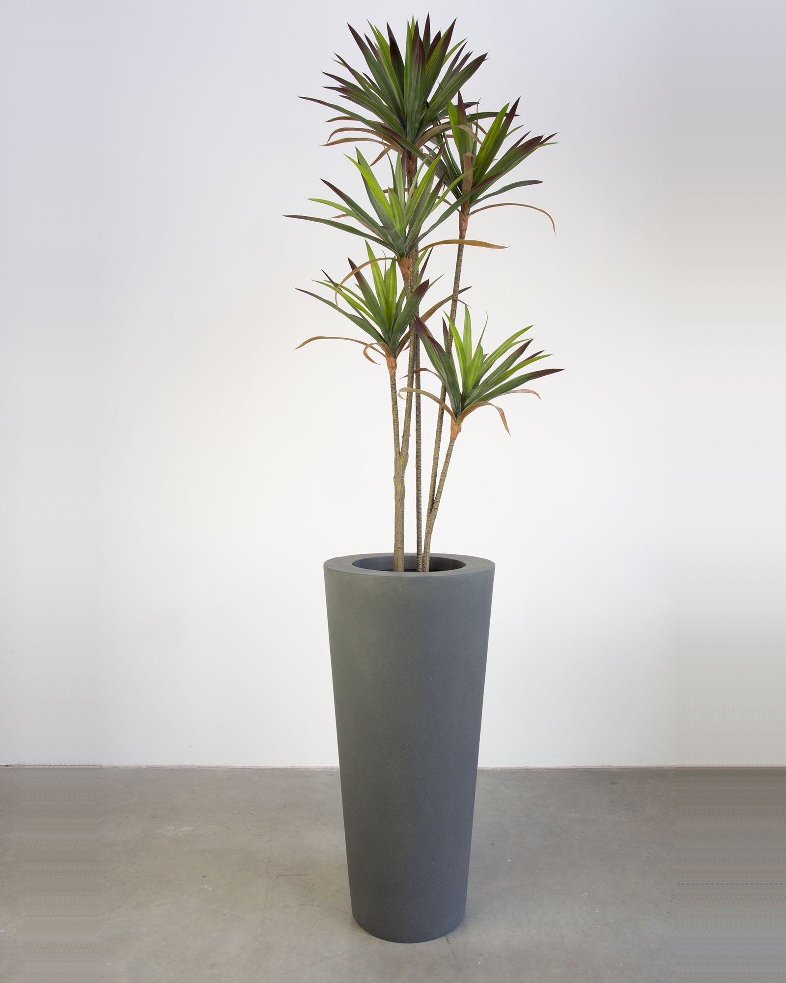 Basalo Conical Set mit Yucca - Palmlilie