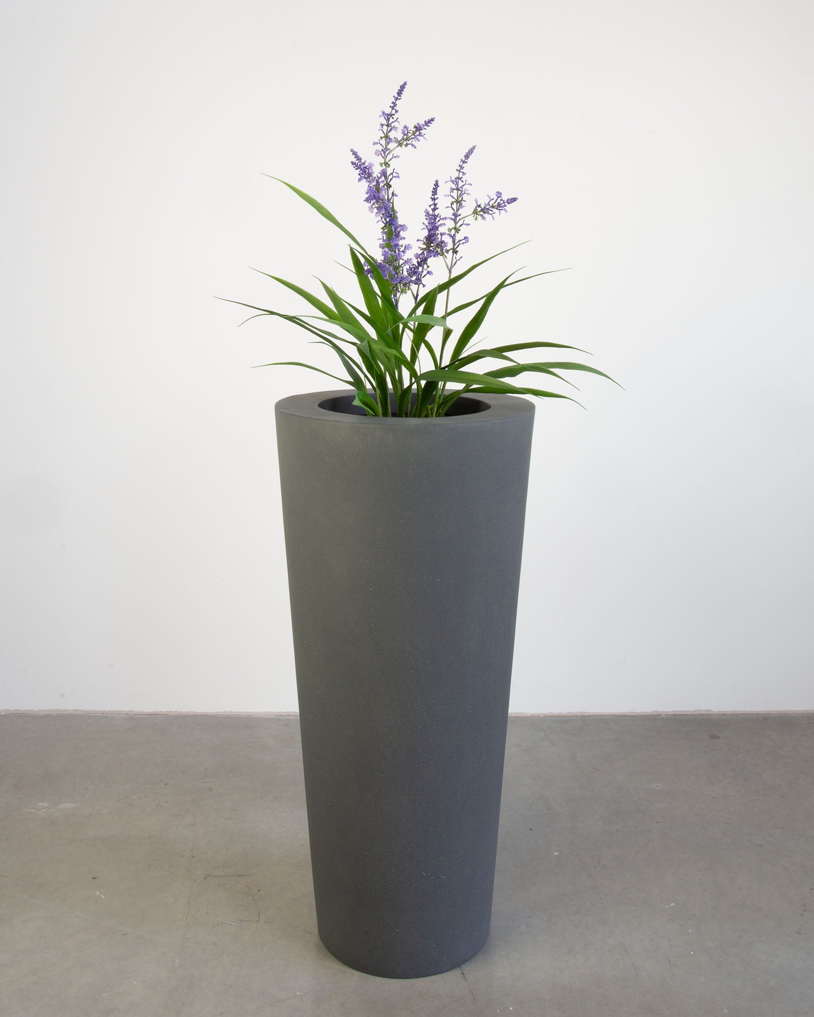 Basalo Conical Set mit Lavendel