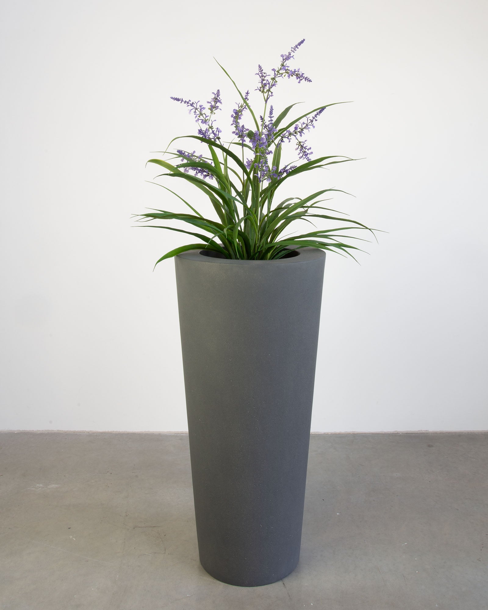 Basalo Conical Set mit Lavendel