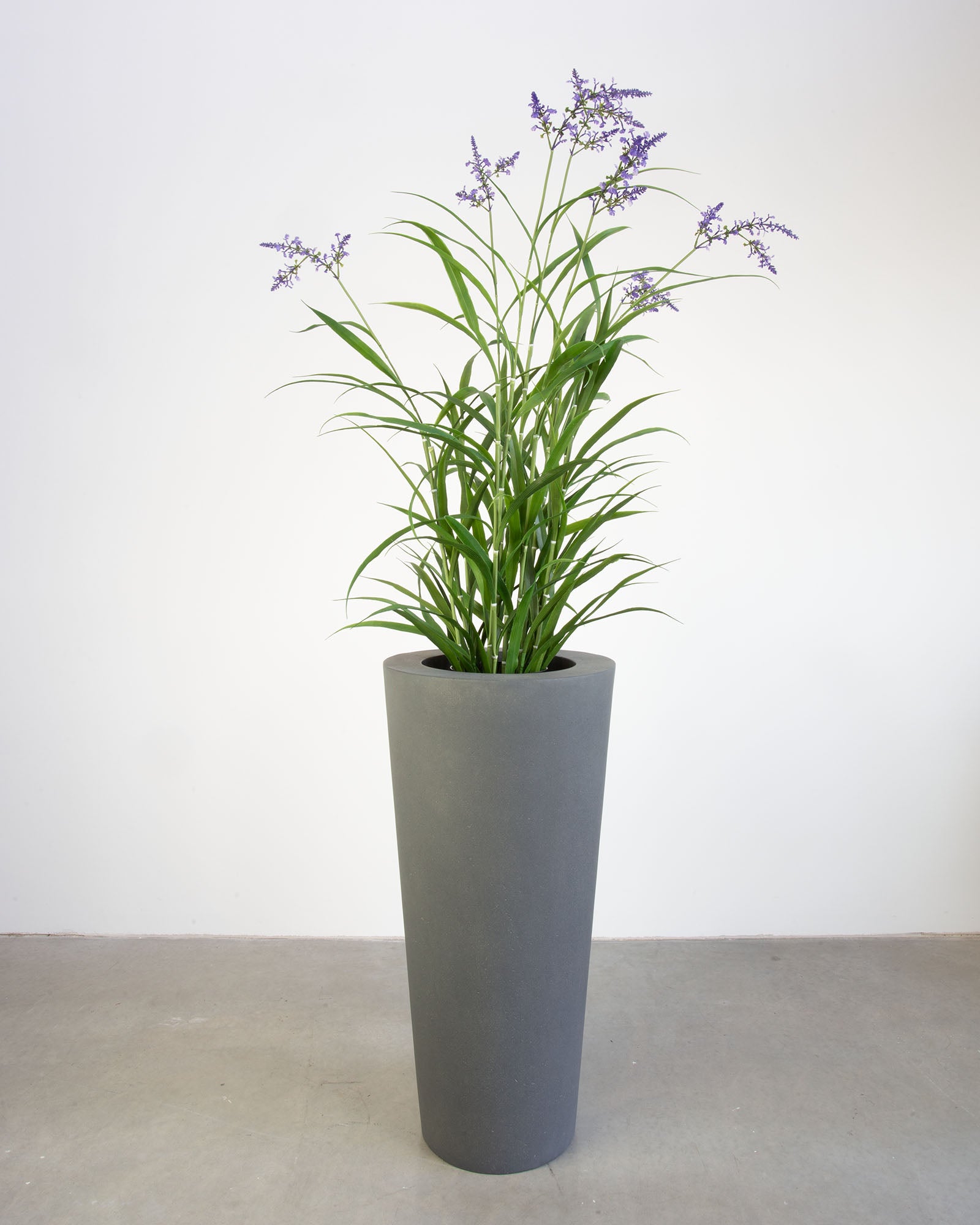 Basalo Conical Set mit Lavendel
