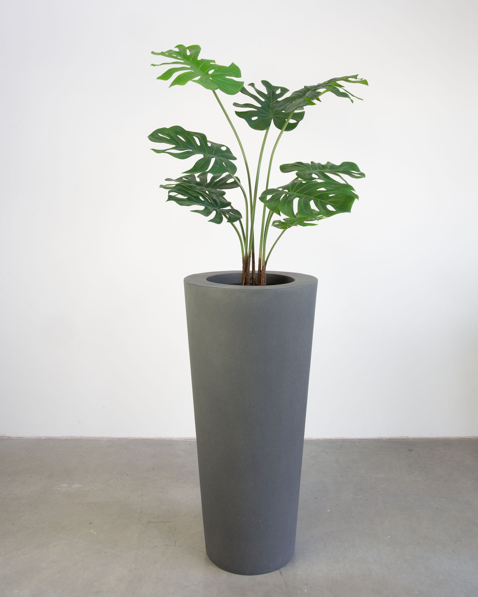 Basalo Conical Set mit Monstera