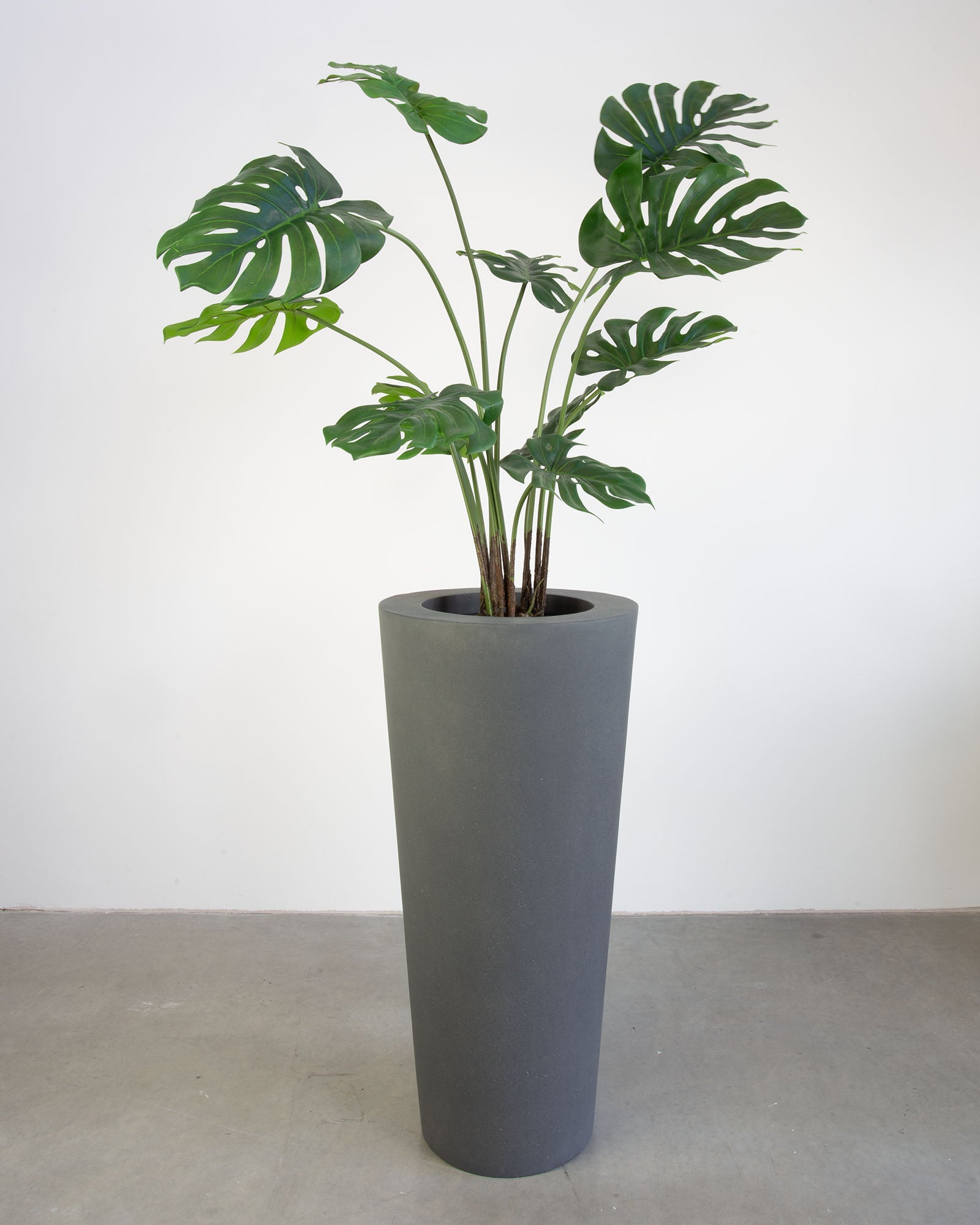 Basalo Conical Set mit Monstera
