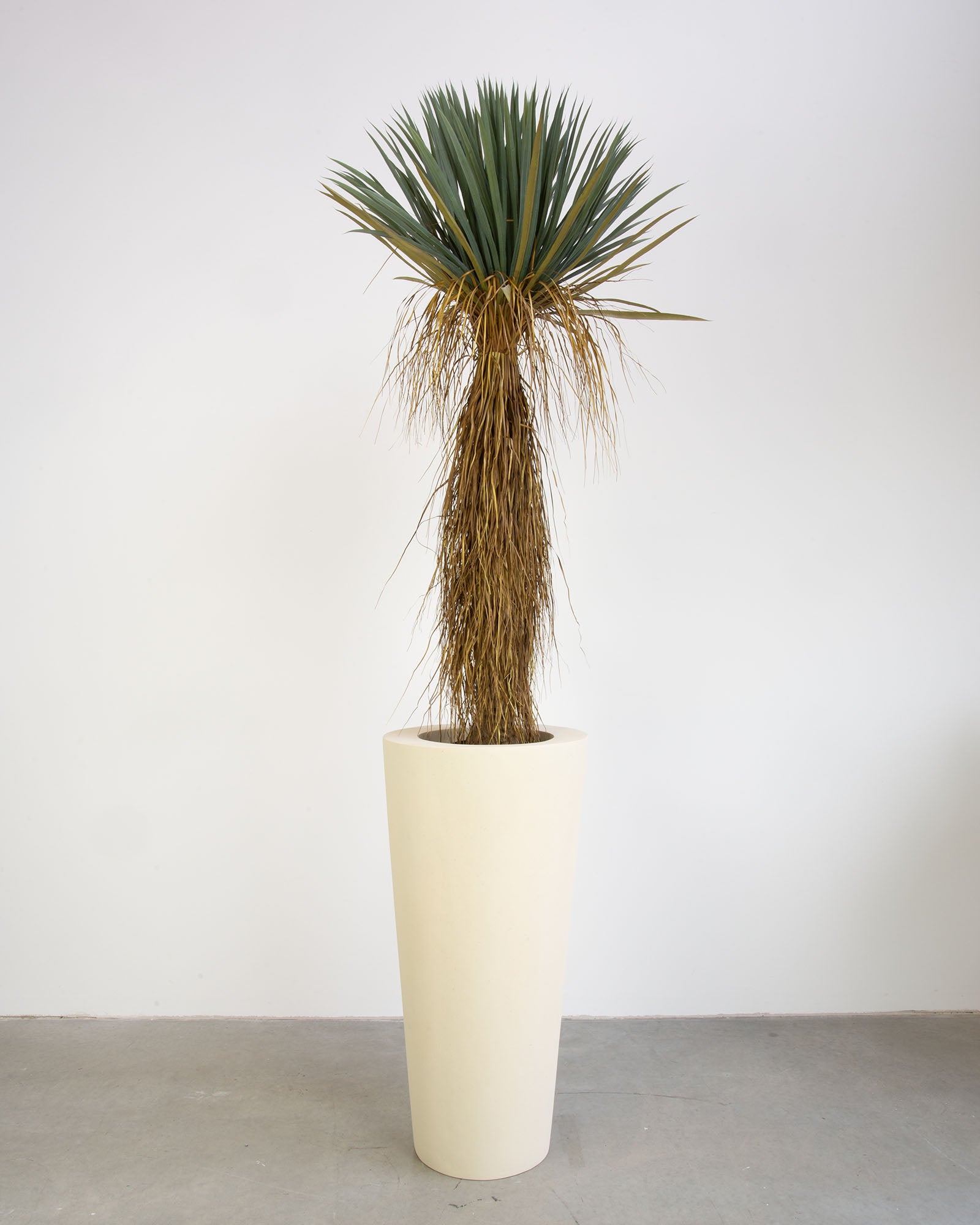 Basalo Conical Set mit Yucca Palmlilie