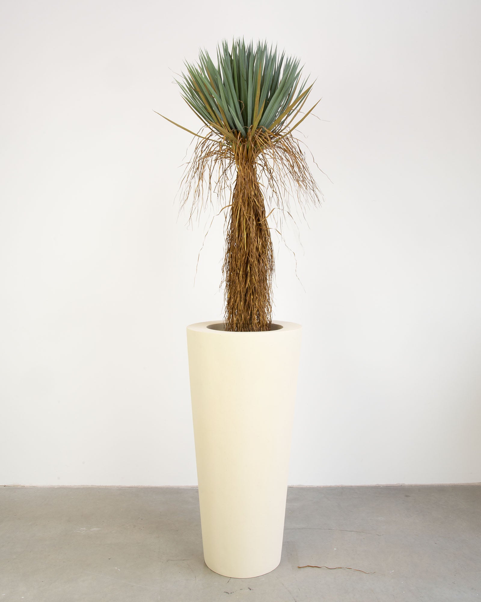 Basalo Conical Set mit Yucca Palmlilie