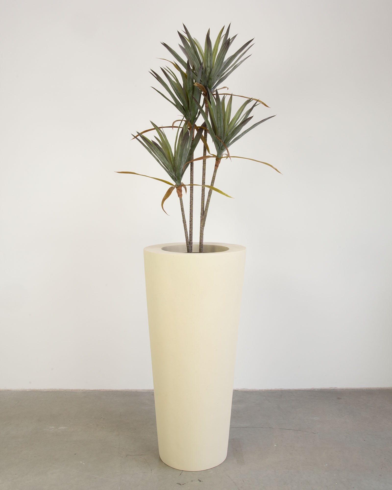 Basalo Conical Set mit Yucca - Palmlilie