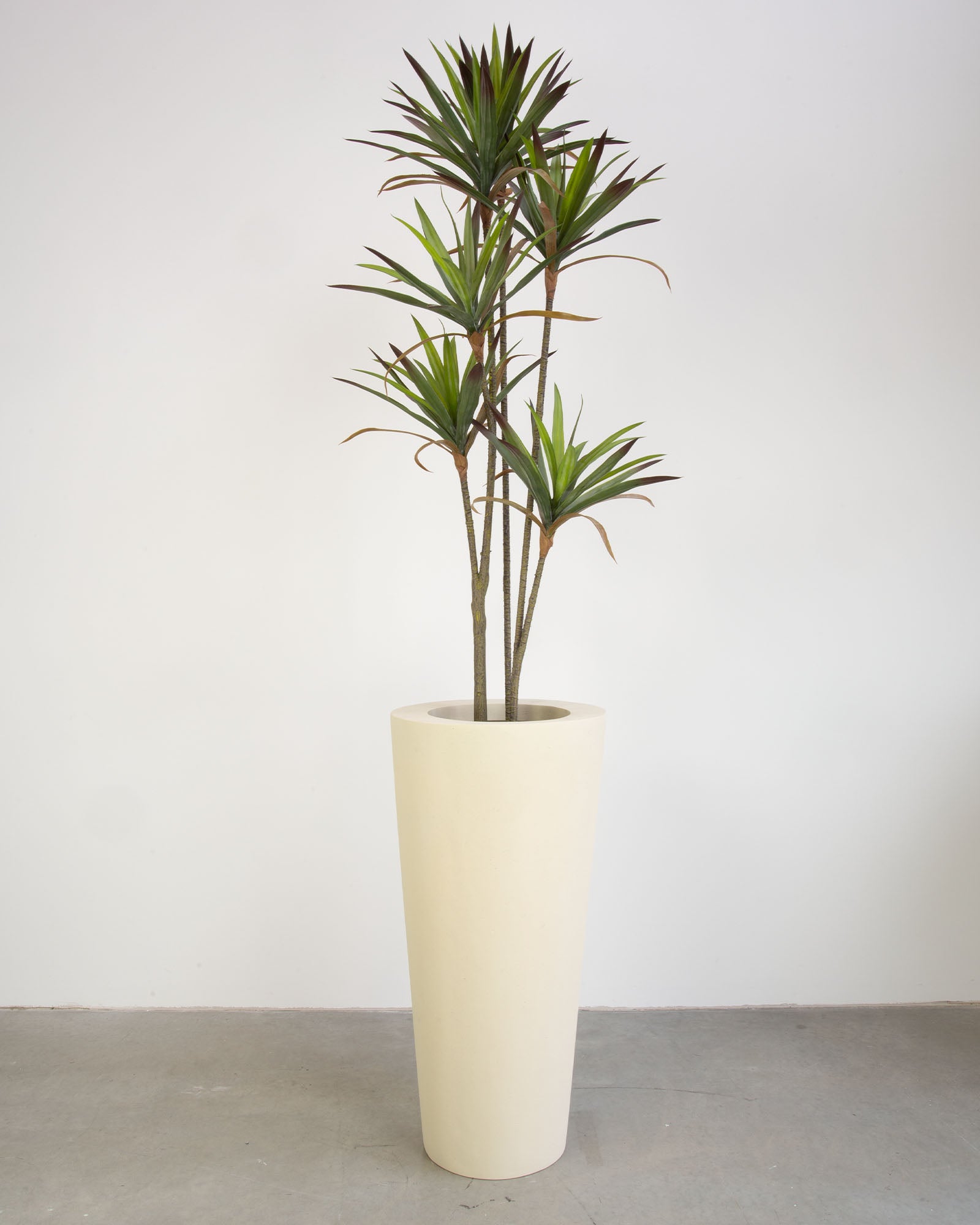 Basalo Conical Set mit Yucca - Palmlilie