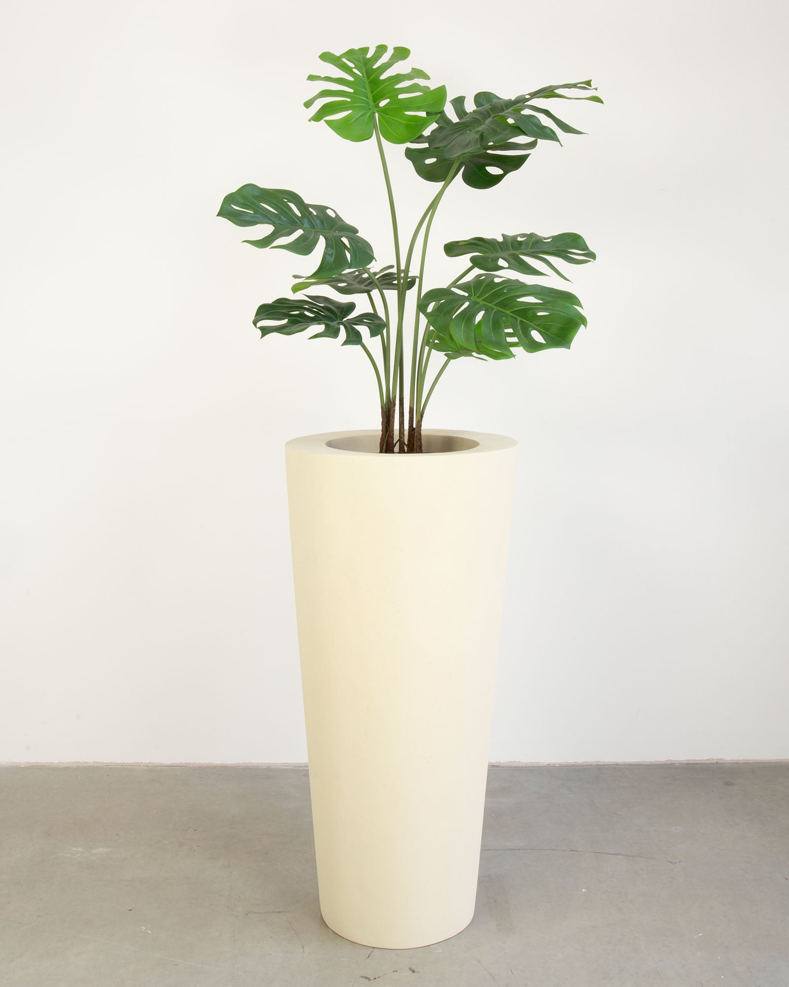 Basalo Conical Set mit Monstera