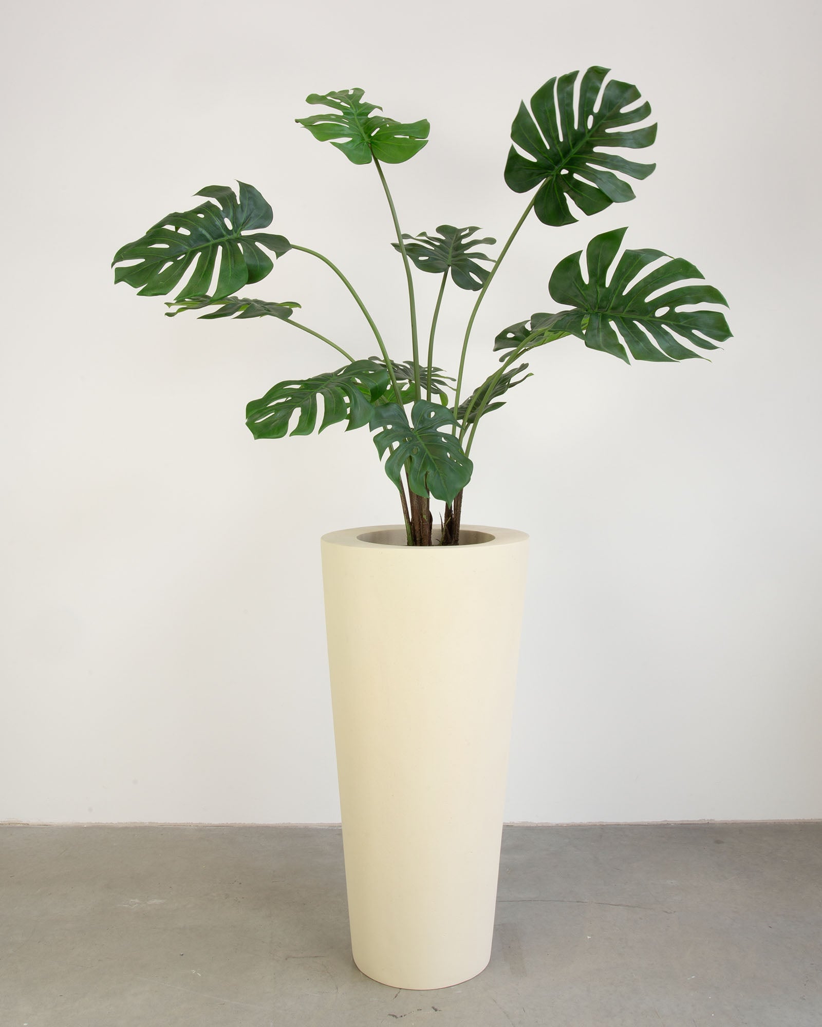 Basalo Conical Set mit Monstera