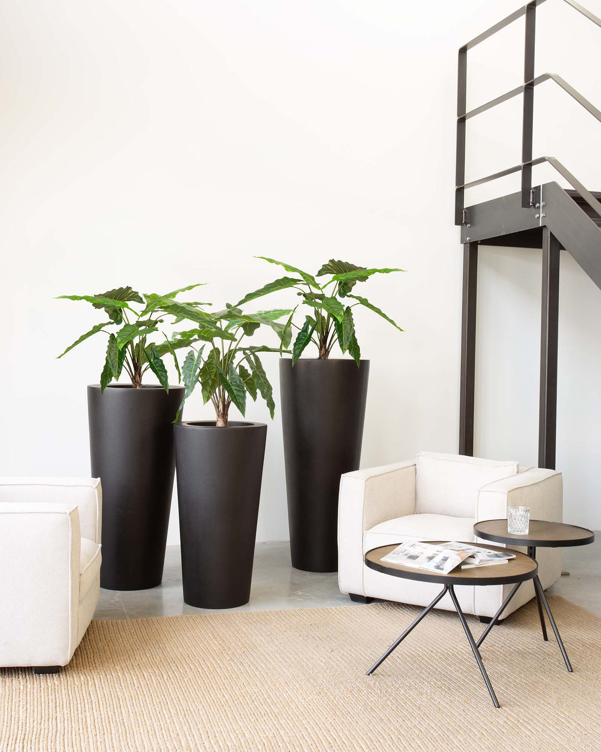 Basalo Conical Set mit Pfeilblatt