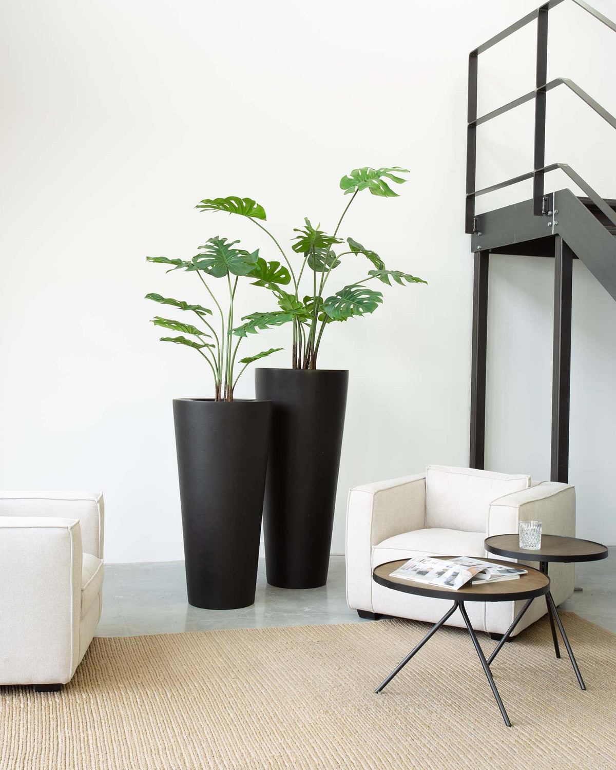 Basalo Conical Set mit Monstera