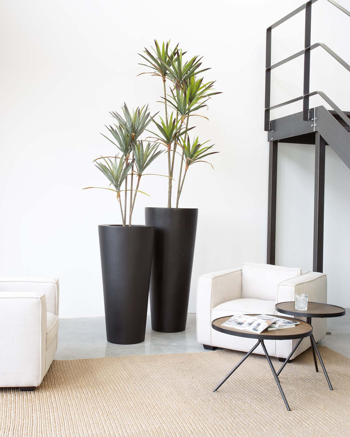 Basalo Conical Set mit Yucca - Palmlilie