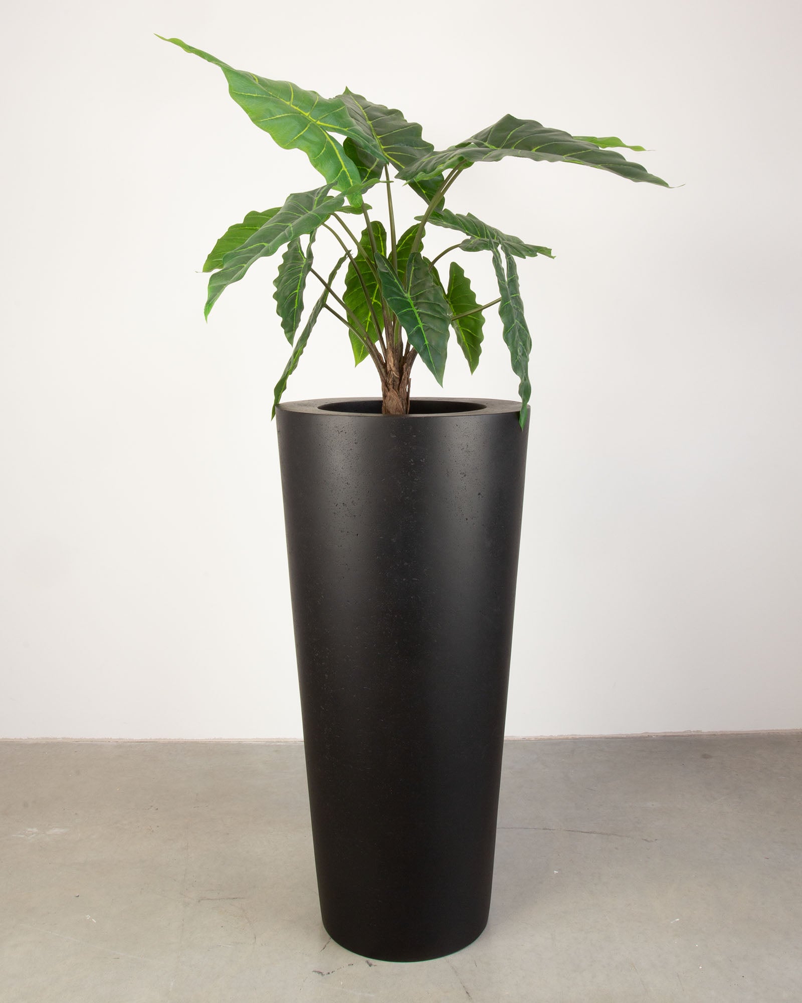 Basalo Conical Set mit Pfeilblatt