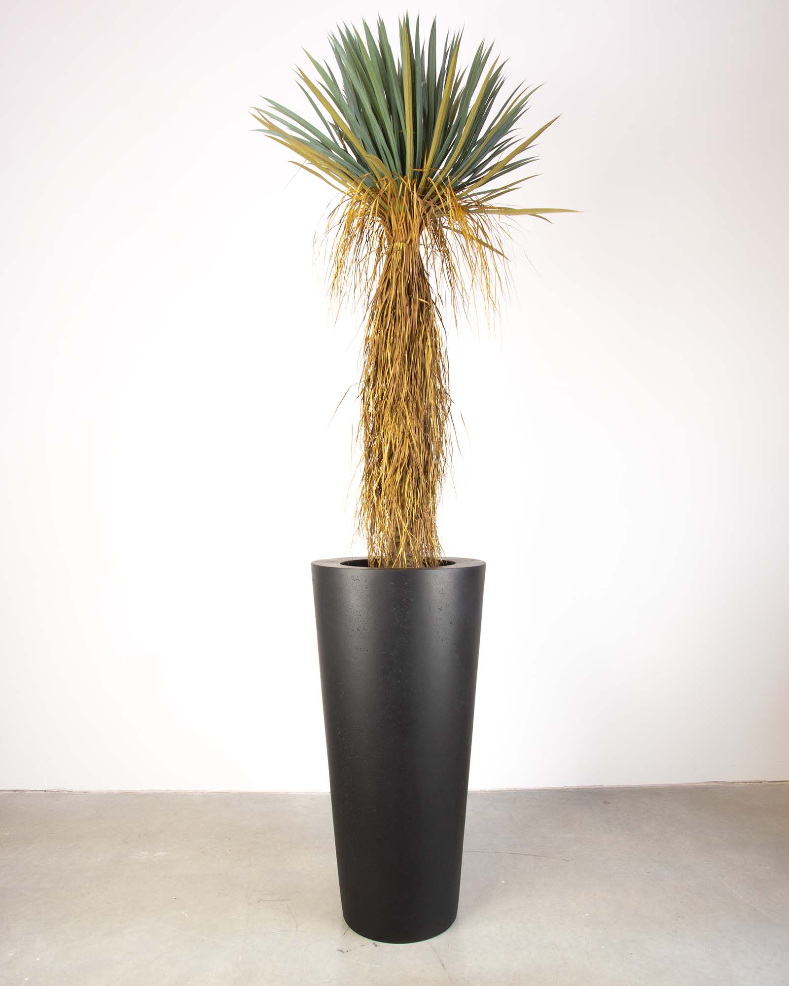 Basalo Conical Set mit Yucca Palmlilie